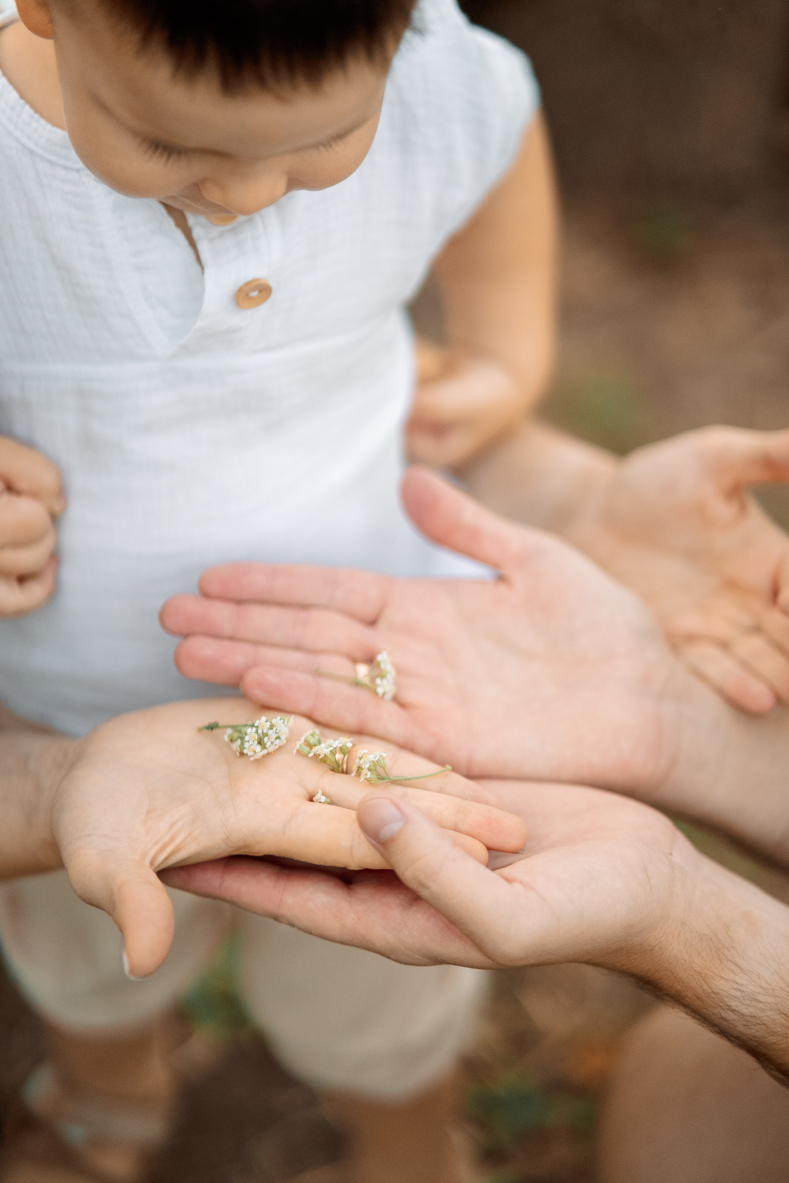 Ботанический сад. Фотограф Мария Зайчик