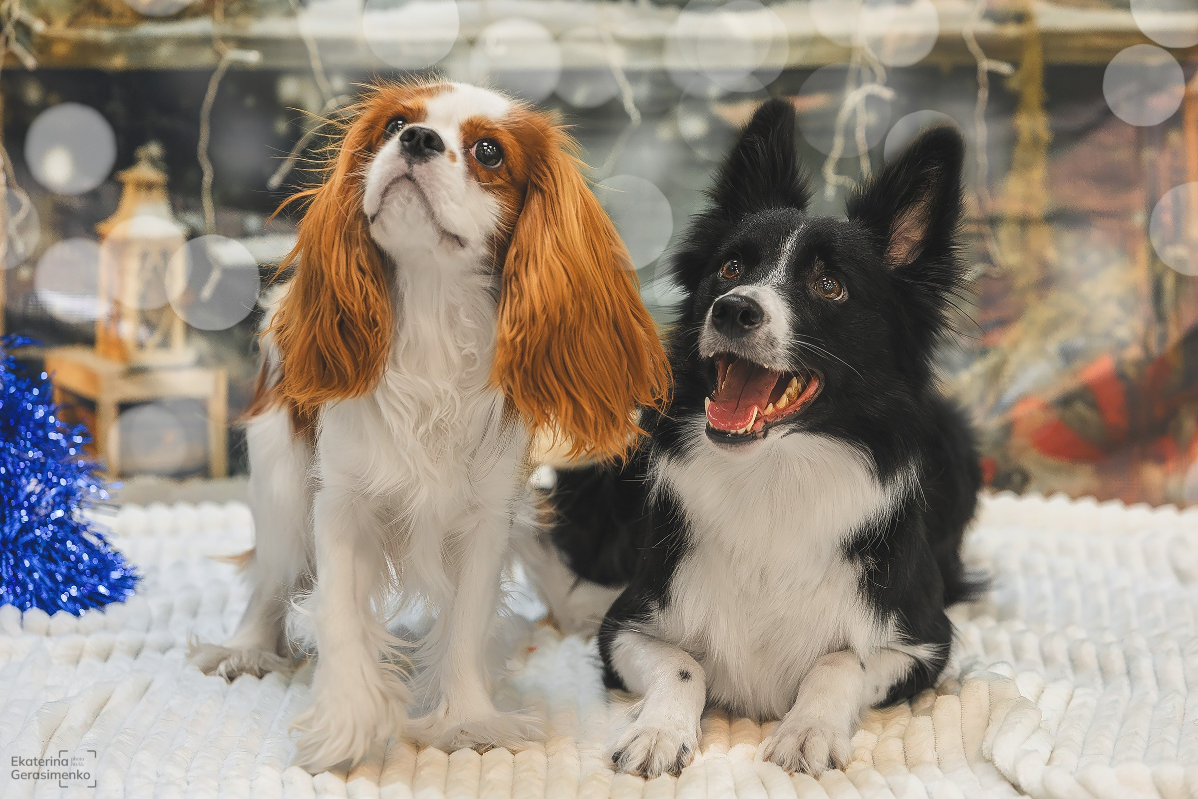 Фотодень. Htykk_photo