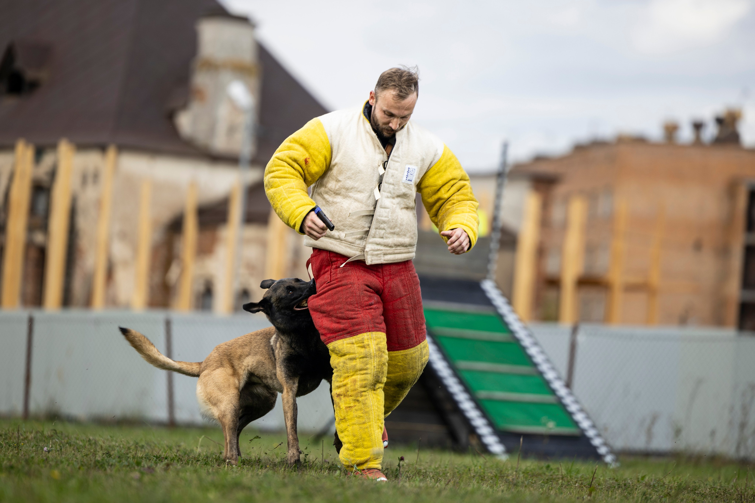 Испытания по Мондьорингу г. Пушкин. Фотограф-анималист Анна Маринич