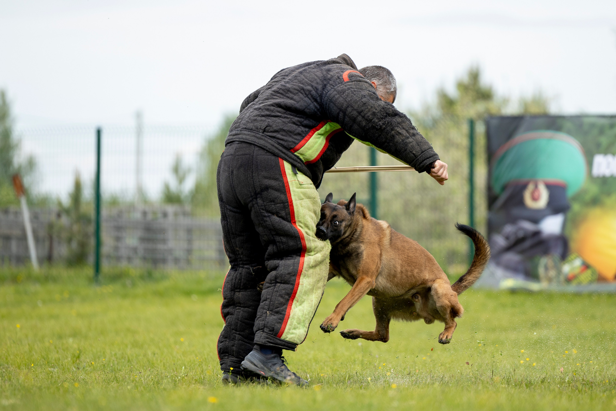 Испытания по мондьорингу в Нижнем Новгороде. Фотограф-анималист Анна Маринич