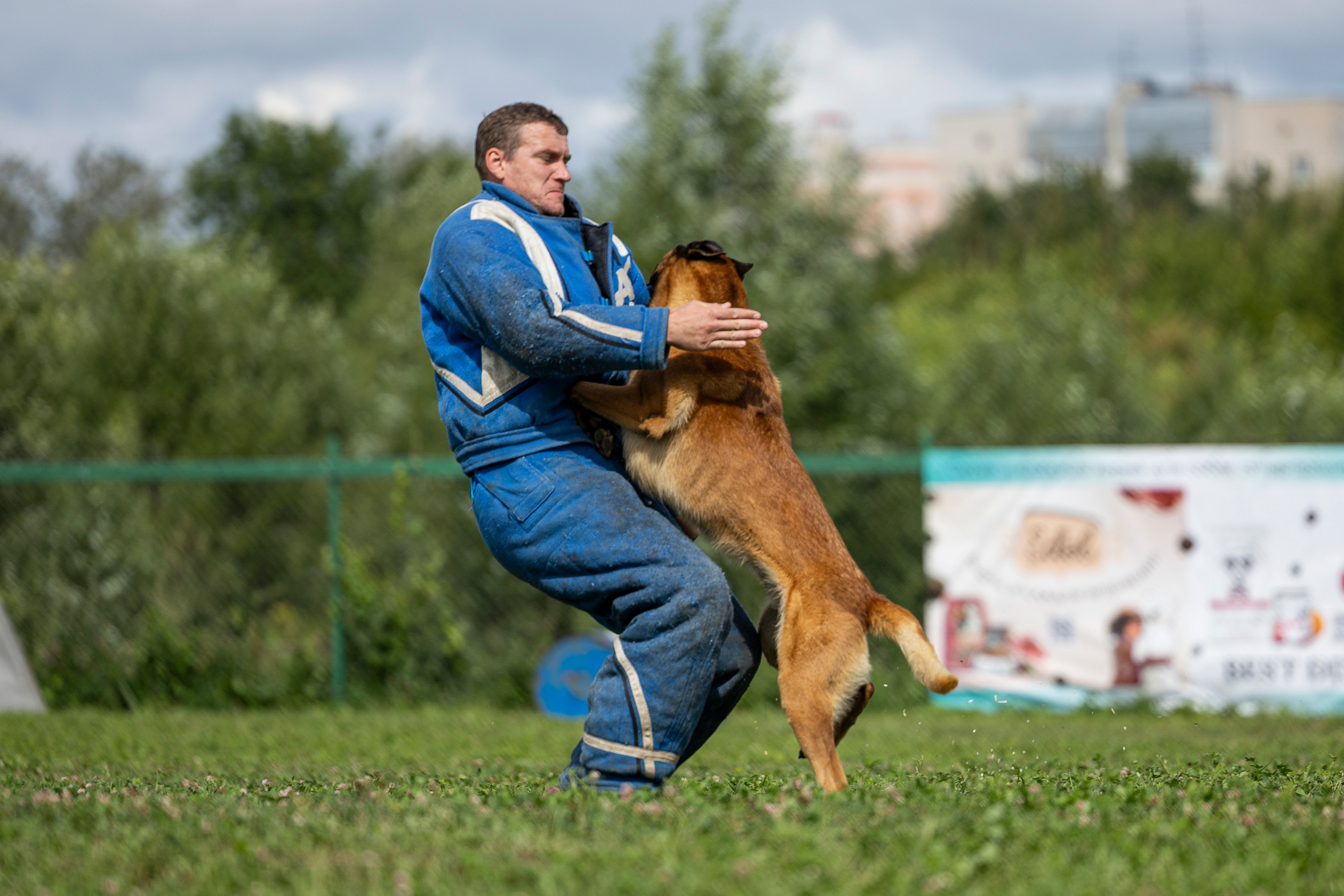 Соревнования по Мондьорингу г. Вологда 10-11.08.2024. Фотограф-анималист Анна Маринич