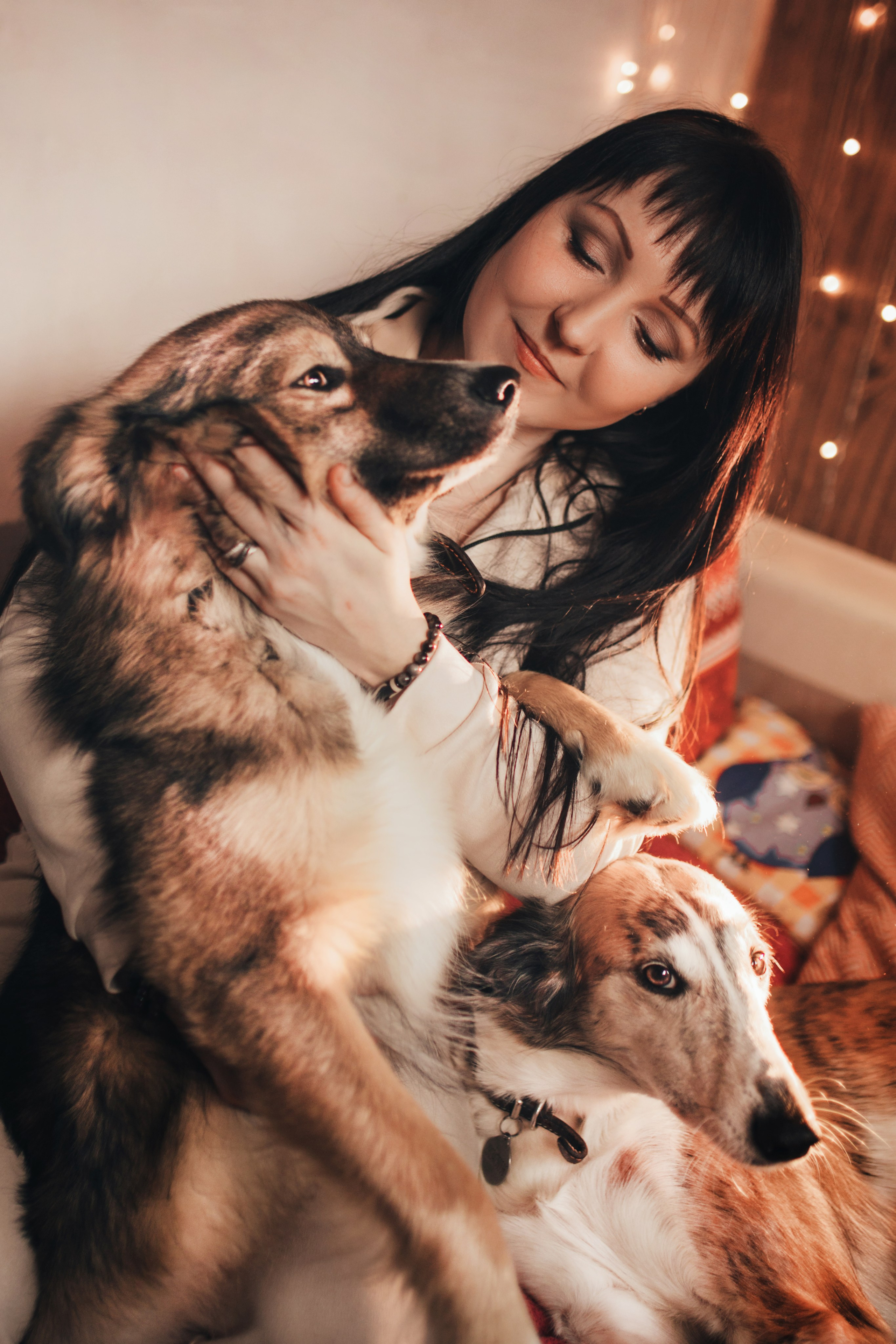 Фотосессии с собаками. Главная