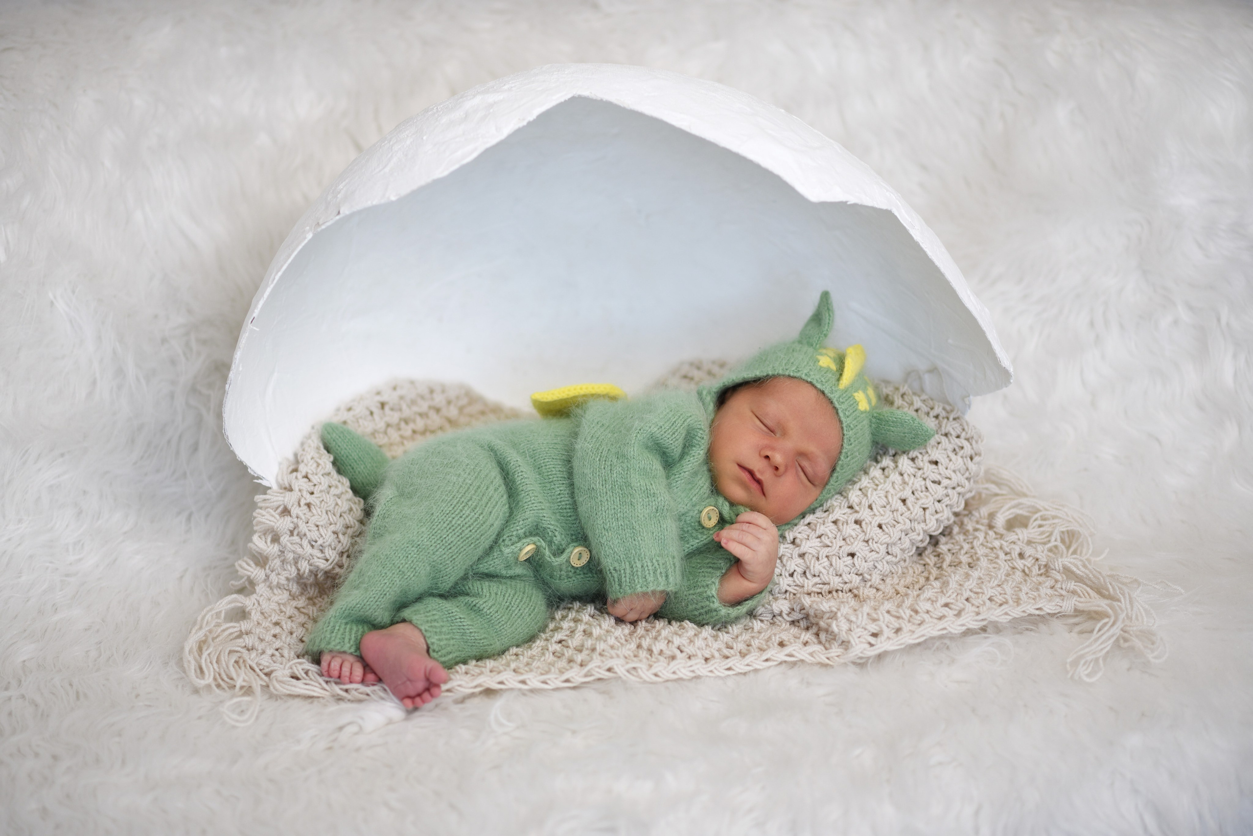 Артем-динозаврик. Семейный, детский и школьный фотограф в Димитровграде Наумова Екатерина