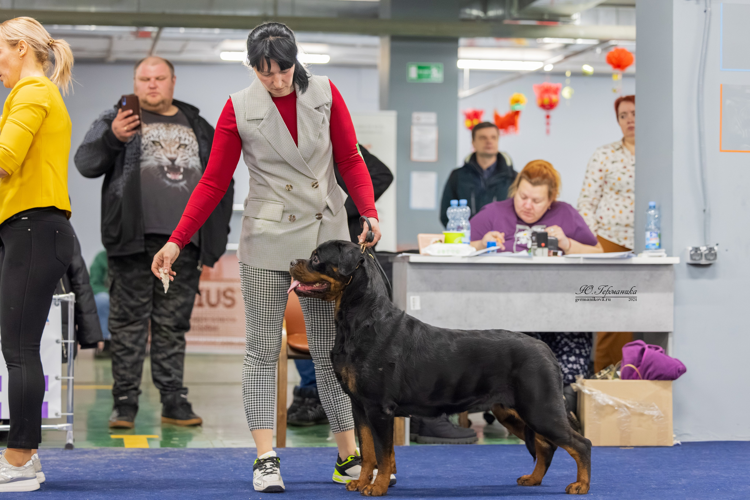 Сфера 08 и 10.03.2024 2хмоно ротвейлеров+2хмоно сао. Фотограф-анималист Юлия Германика
