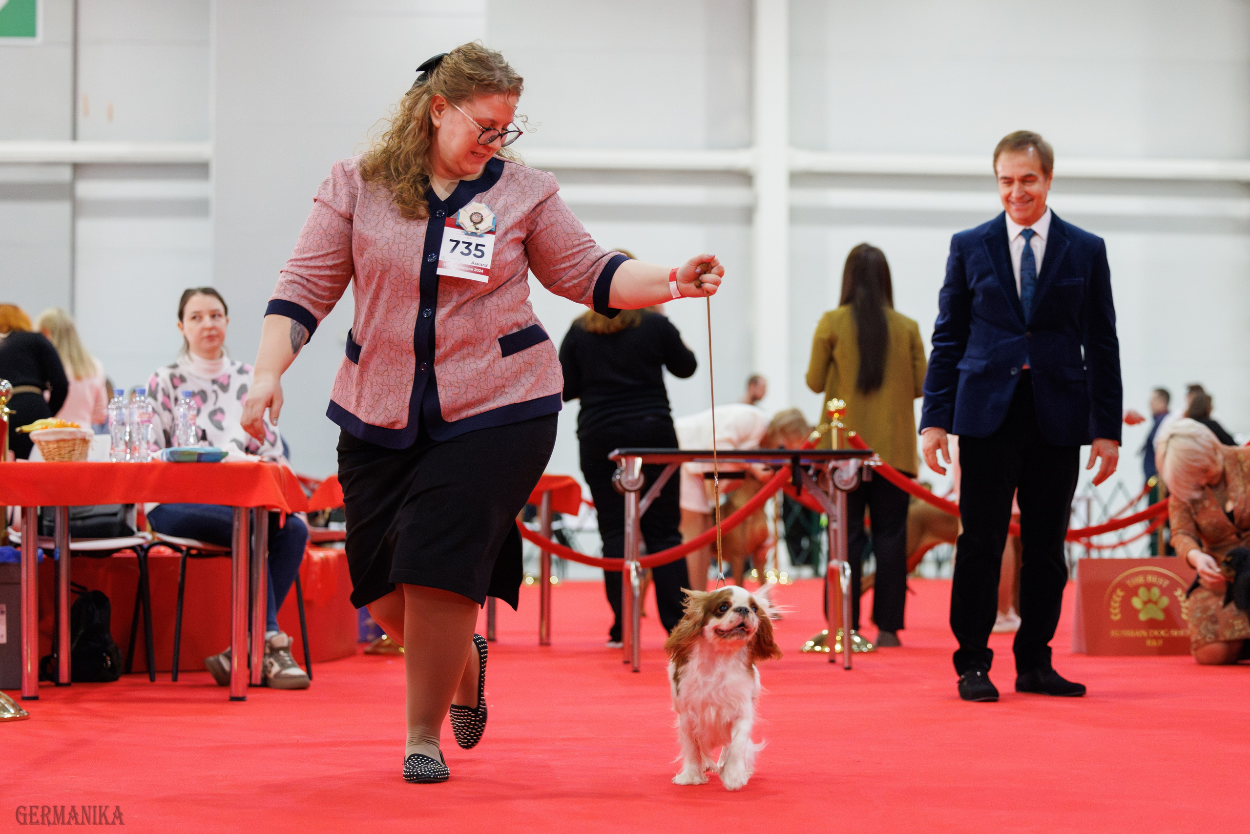 Лучшие Собаки России 17-18.02.2024. Фотограф-анималист Юлия Германика