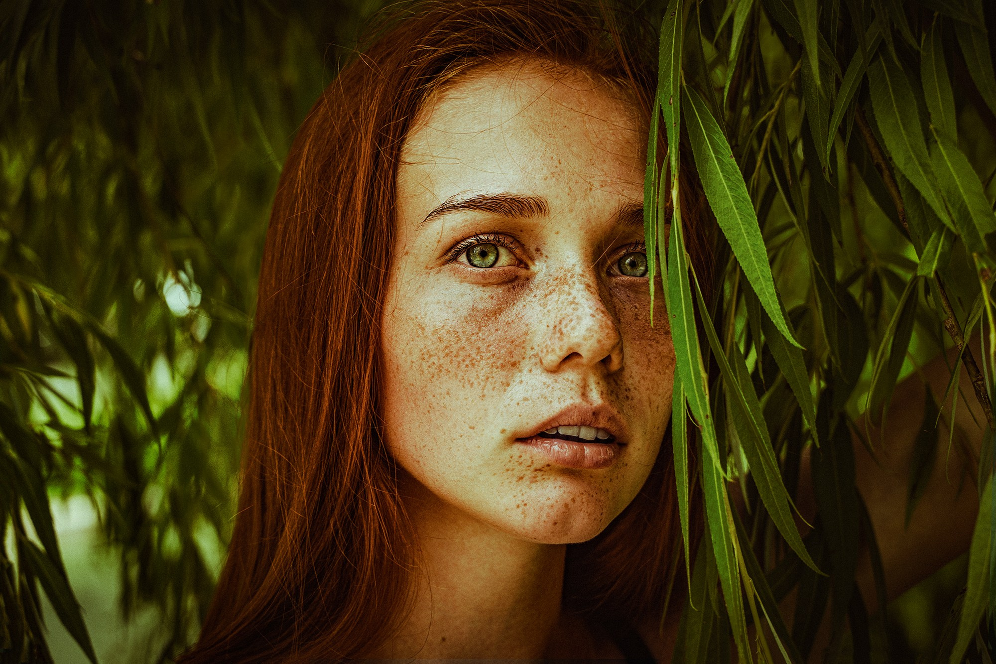 Рыжая девушка под ветвями ивы.