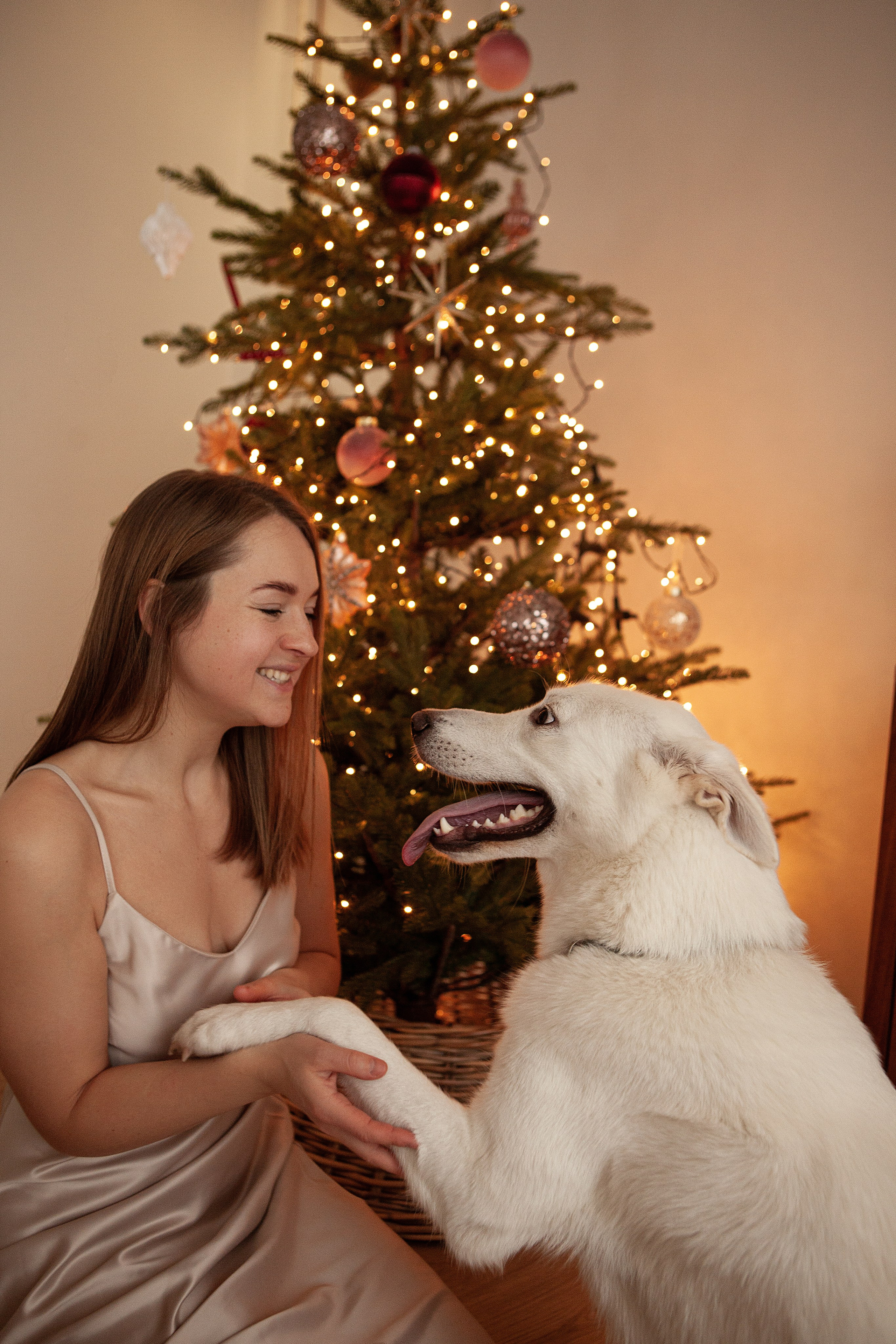 Татьяна & Зефирка. Свадебный фотограф в СПБ | Санкт-Петербурге Анастасия Рахимгулова