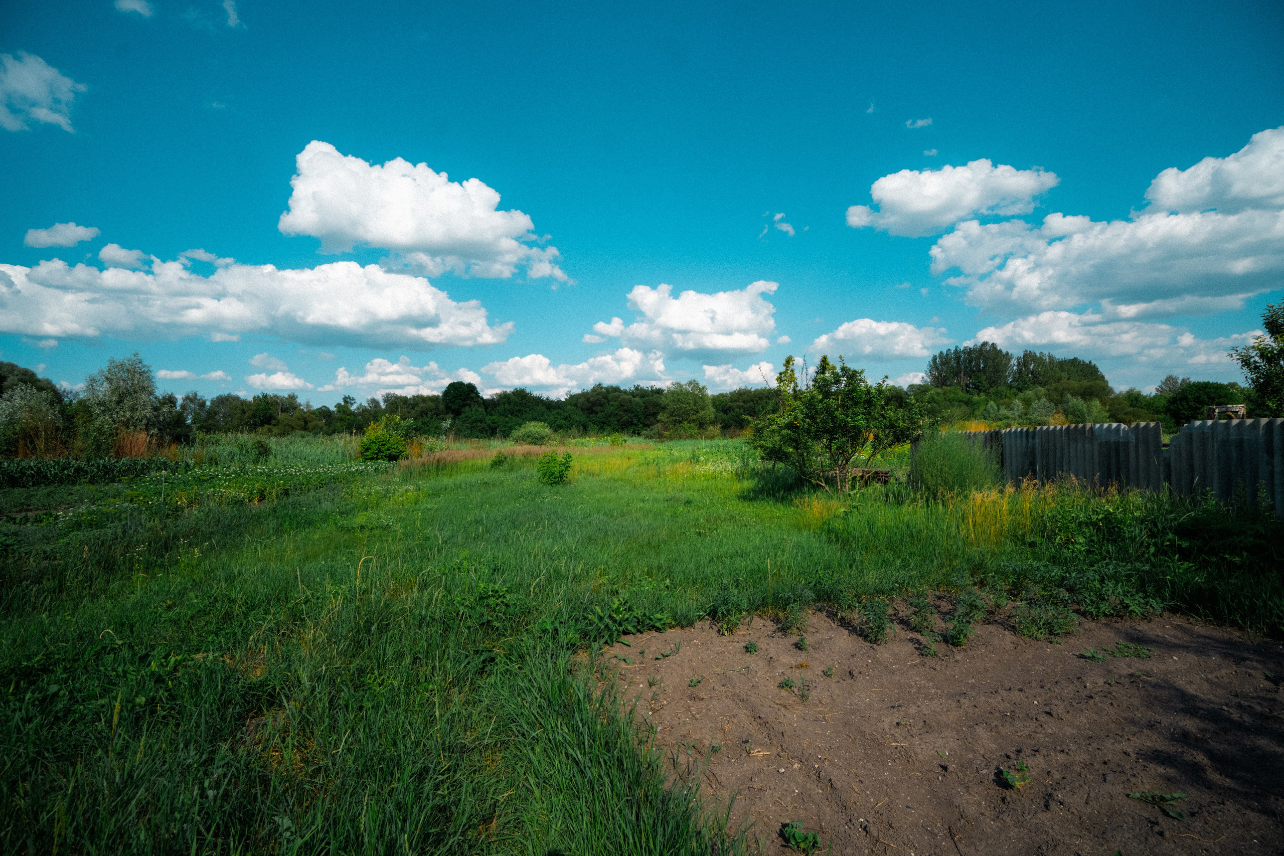 Белгород. Фотограф Алиса Аспер