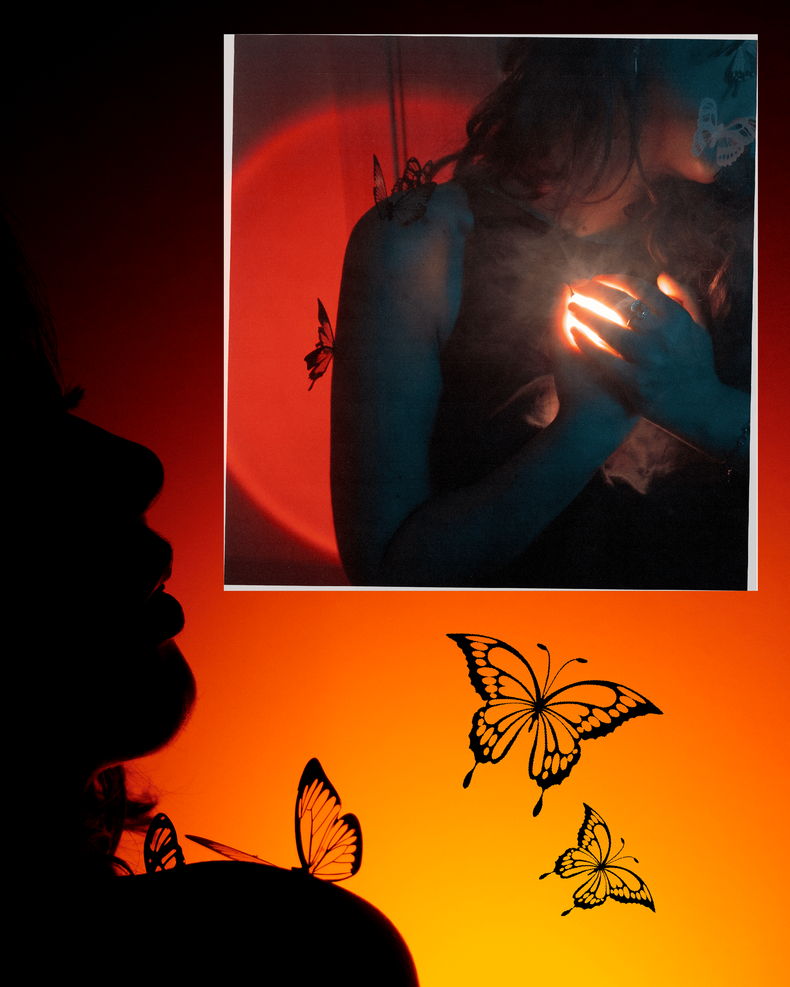 Бабочки. Фотограф Алиса Аспер