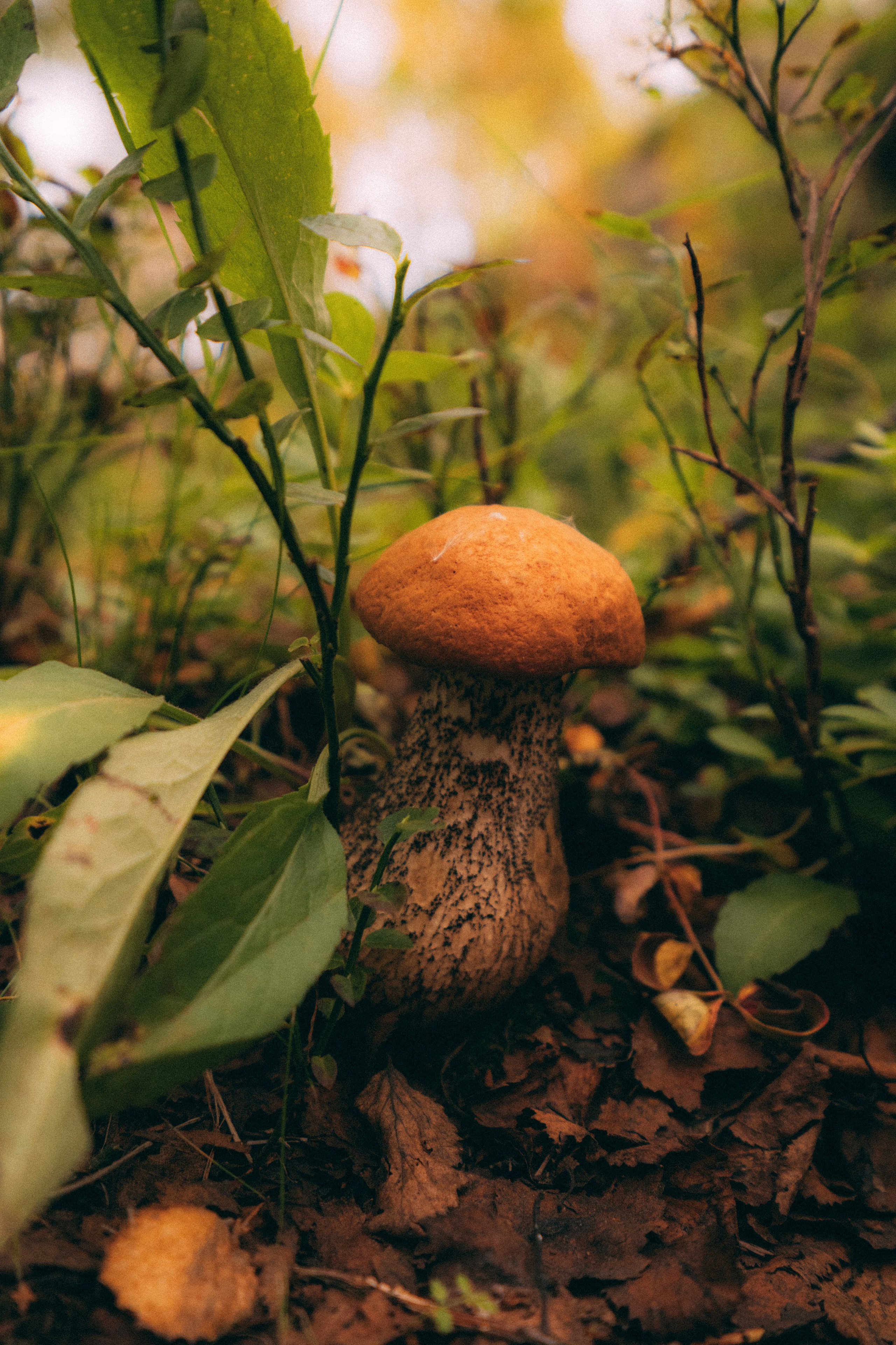Мурманск. Фотограф Алиса Аспер