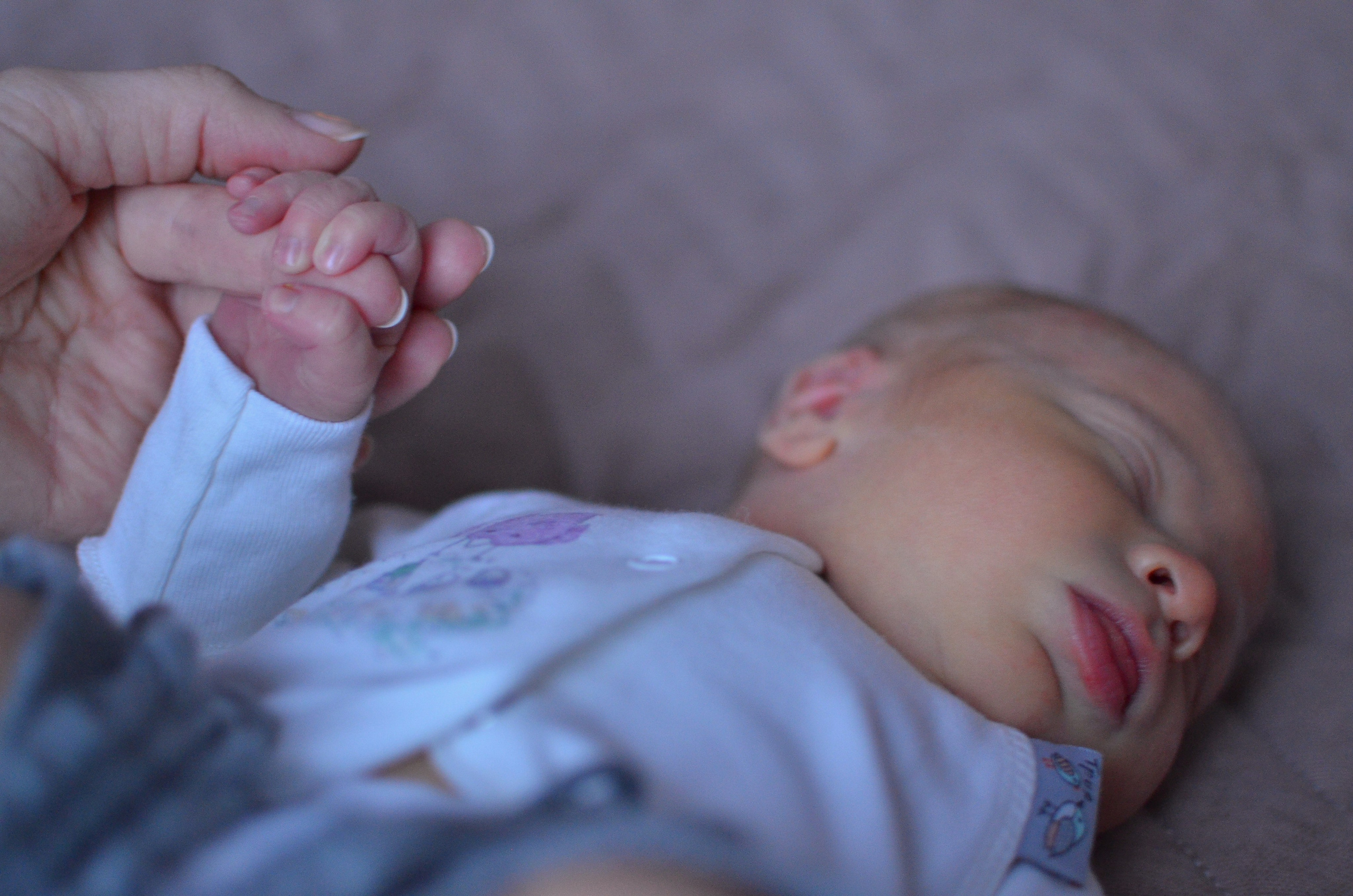 Выписка из роддома. Семейный и детский фотограф в Санкт-Петербурге Баландина Татьяна