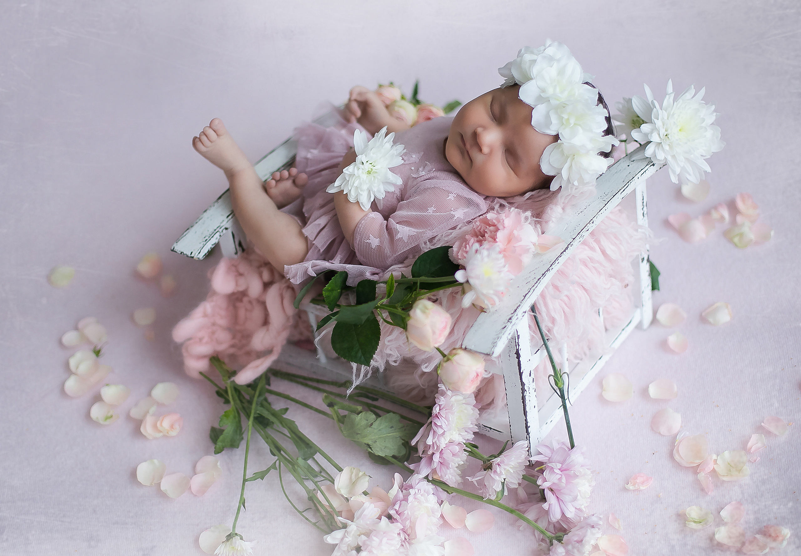 Newborn девочки. Главная