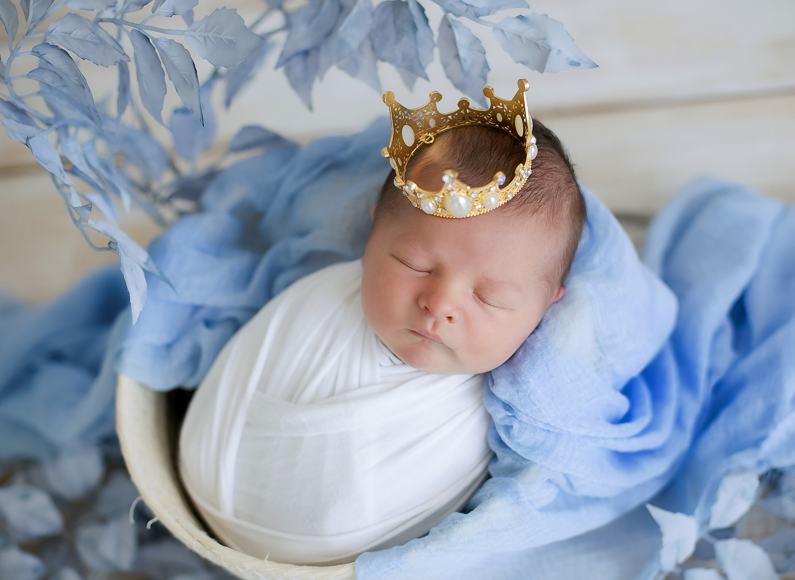 Art newborn. Главная