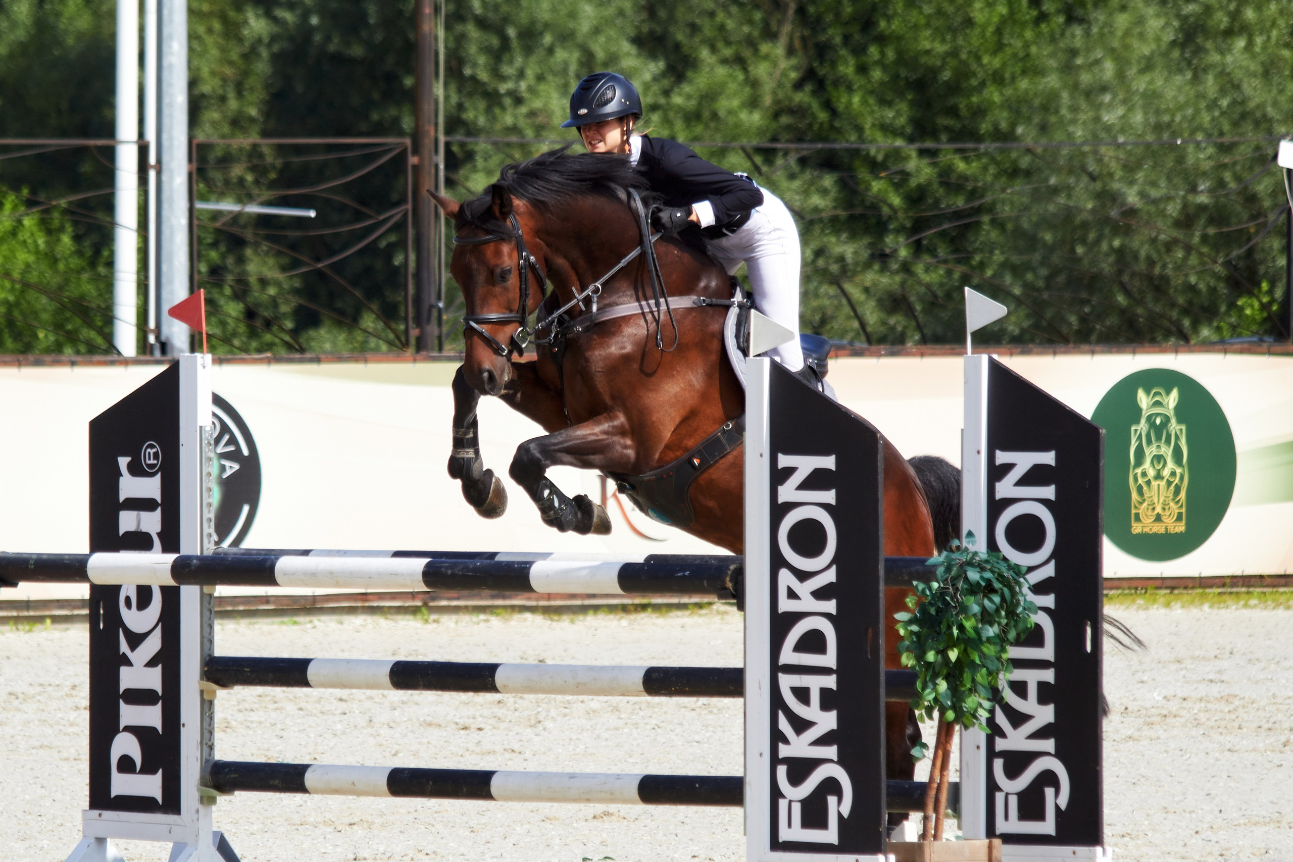 Конкур в «Виват, Россия». Фотограф анималист — Тула, Москва