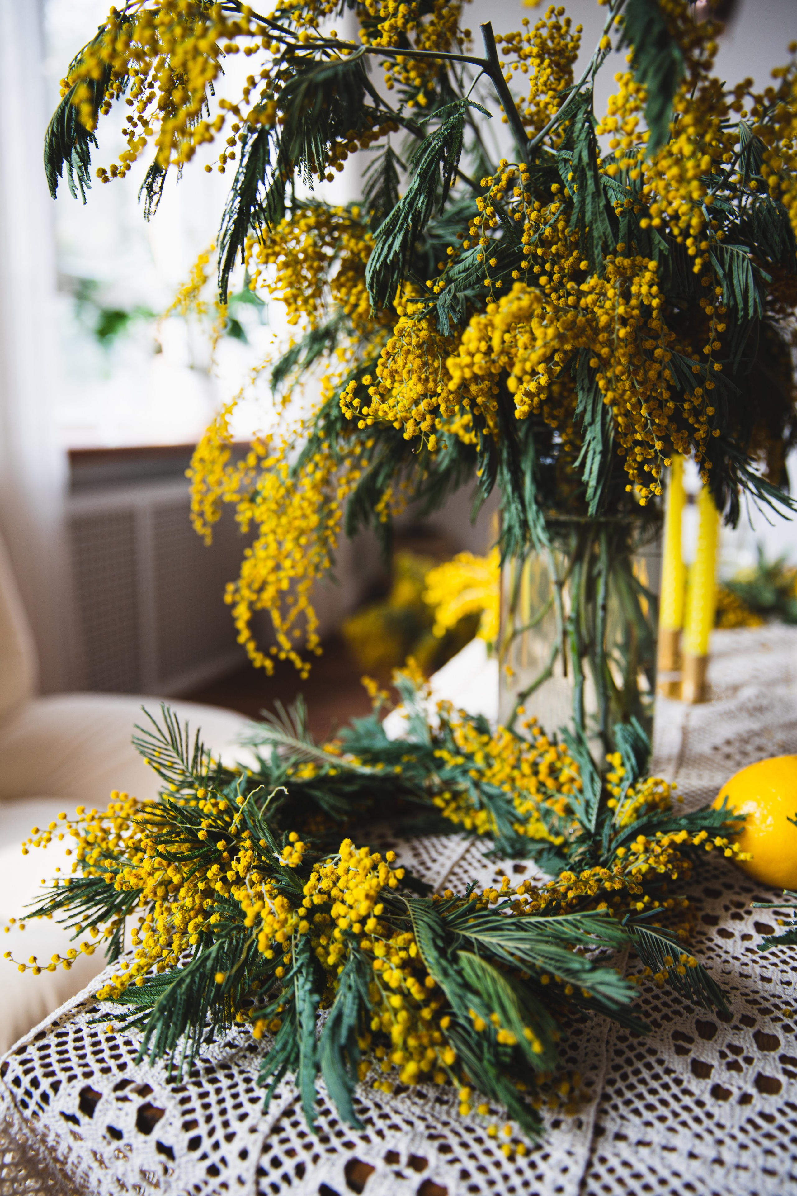 МИМОЗА. Портретный фотограф в Краснодаре Надежда Елынко