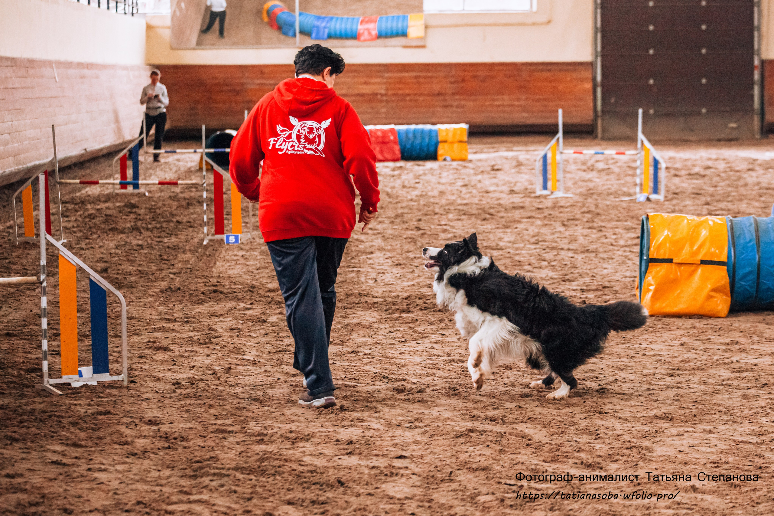 Соревнования по Аджилити 25.02.2024. Фотограф-анималист Татьяна Степанова
