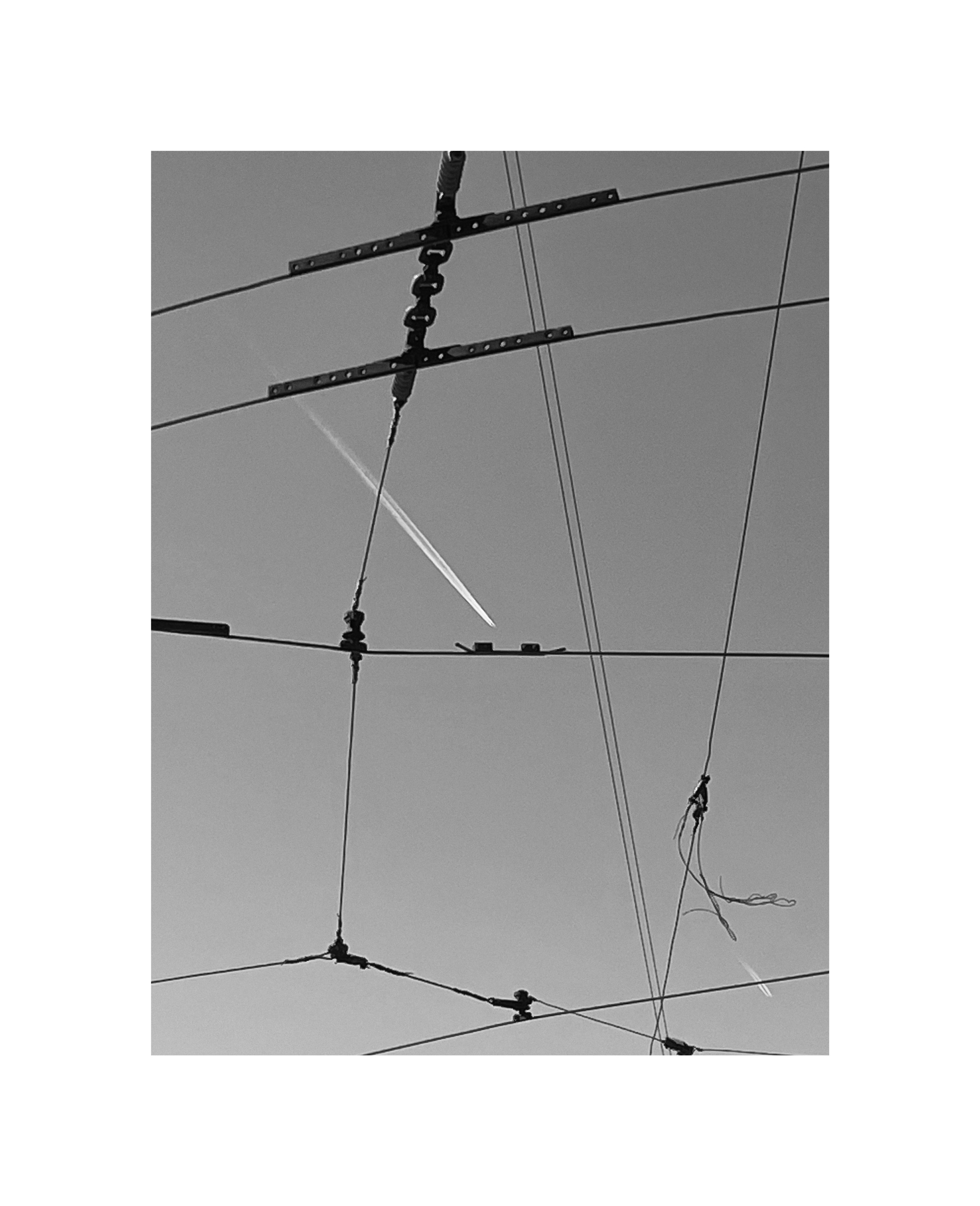 Bec. Шмитов Егор