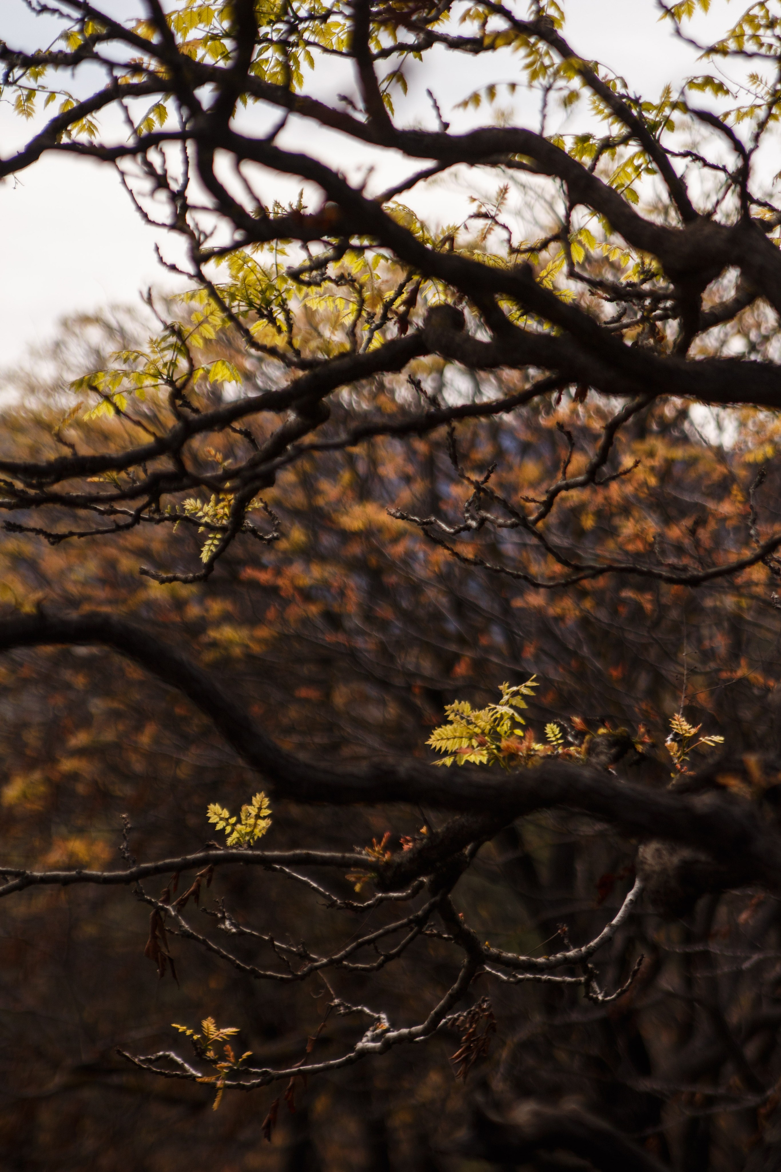 Весна. Катя Цвет