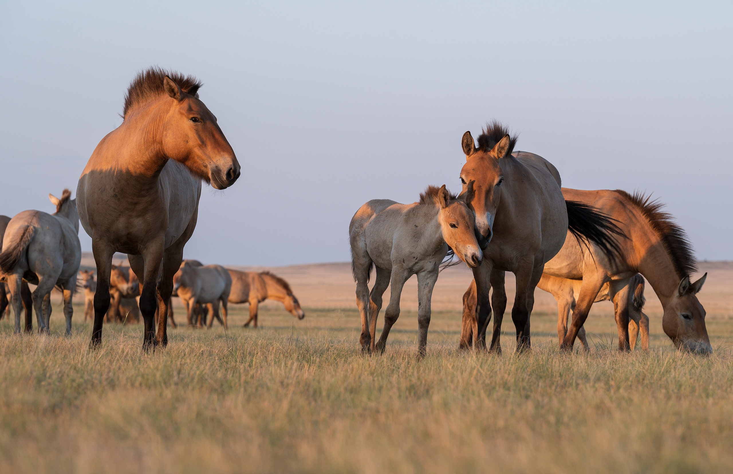 В природе. Портретный фотограф в Челябинске Катерина Руди