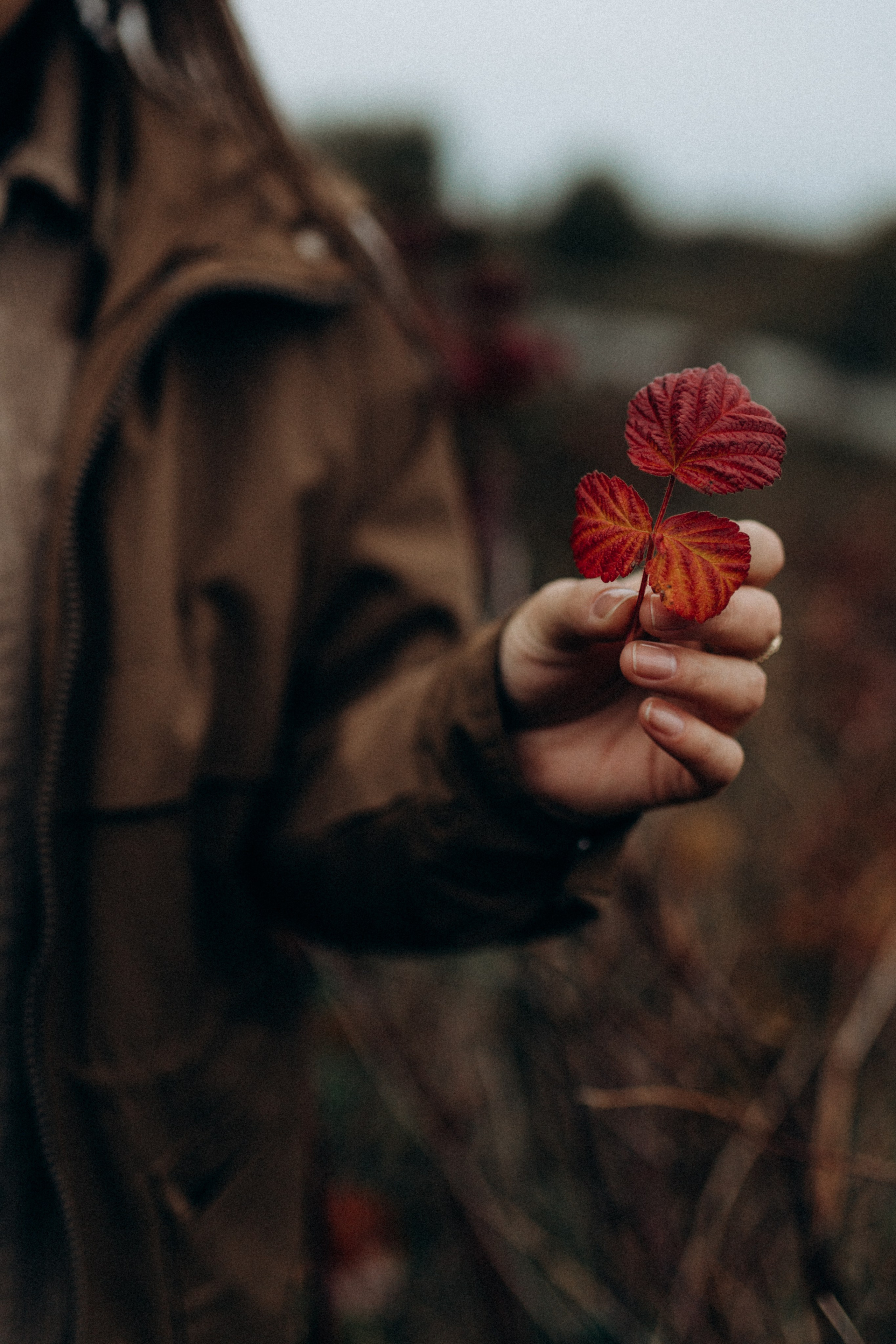 Диана. Фотограф НОГИНСК, Москва, Анастасия Белая
