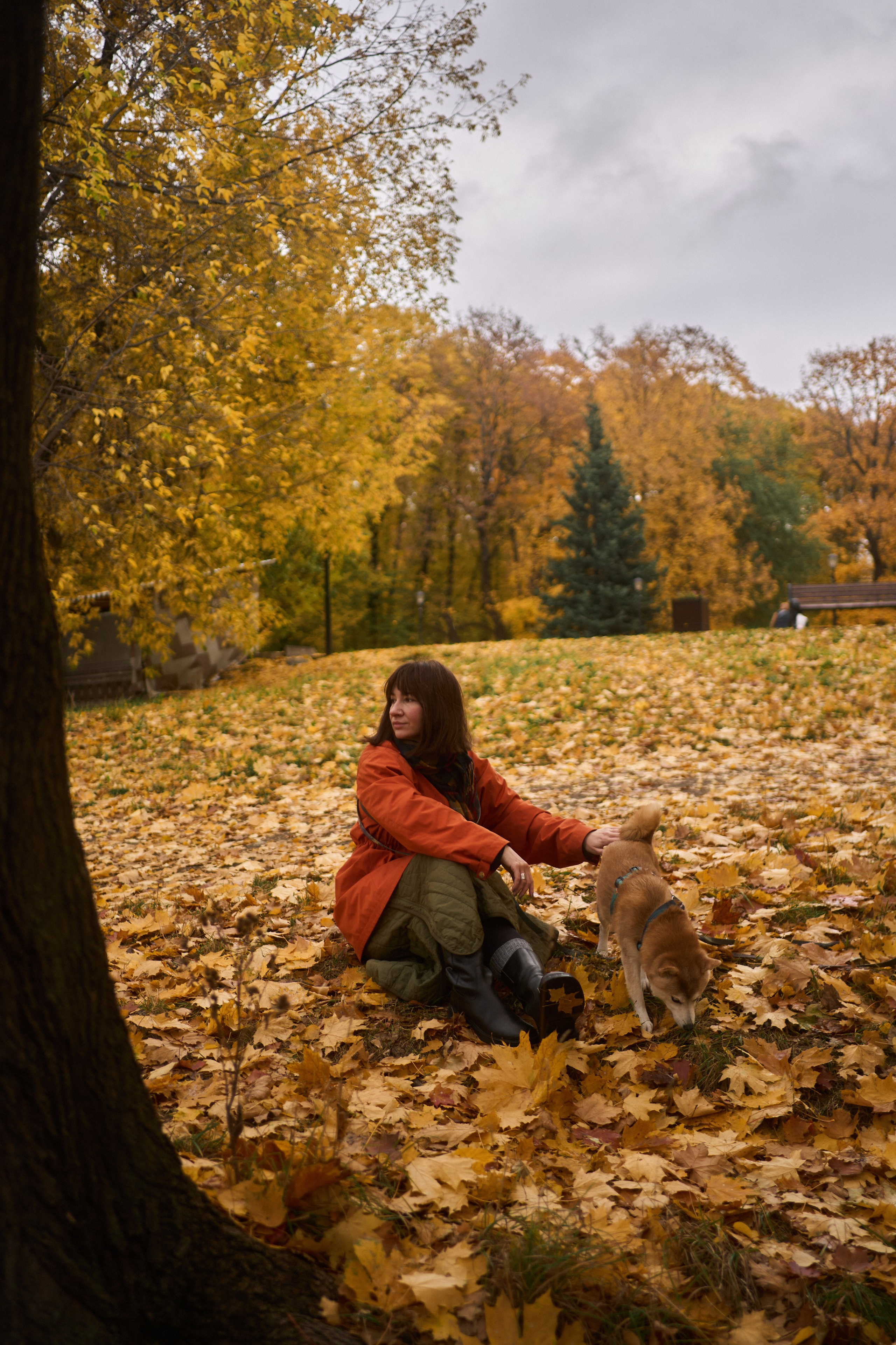 Осенние Уши. Фотограф анималист Москва Дарья