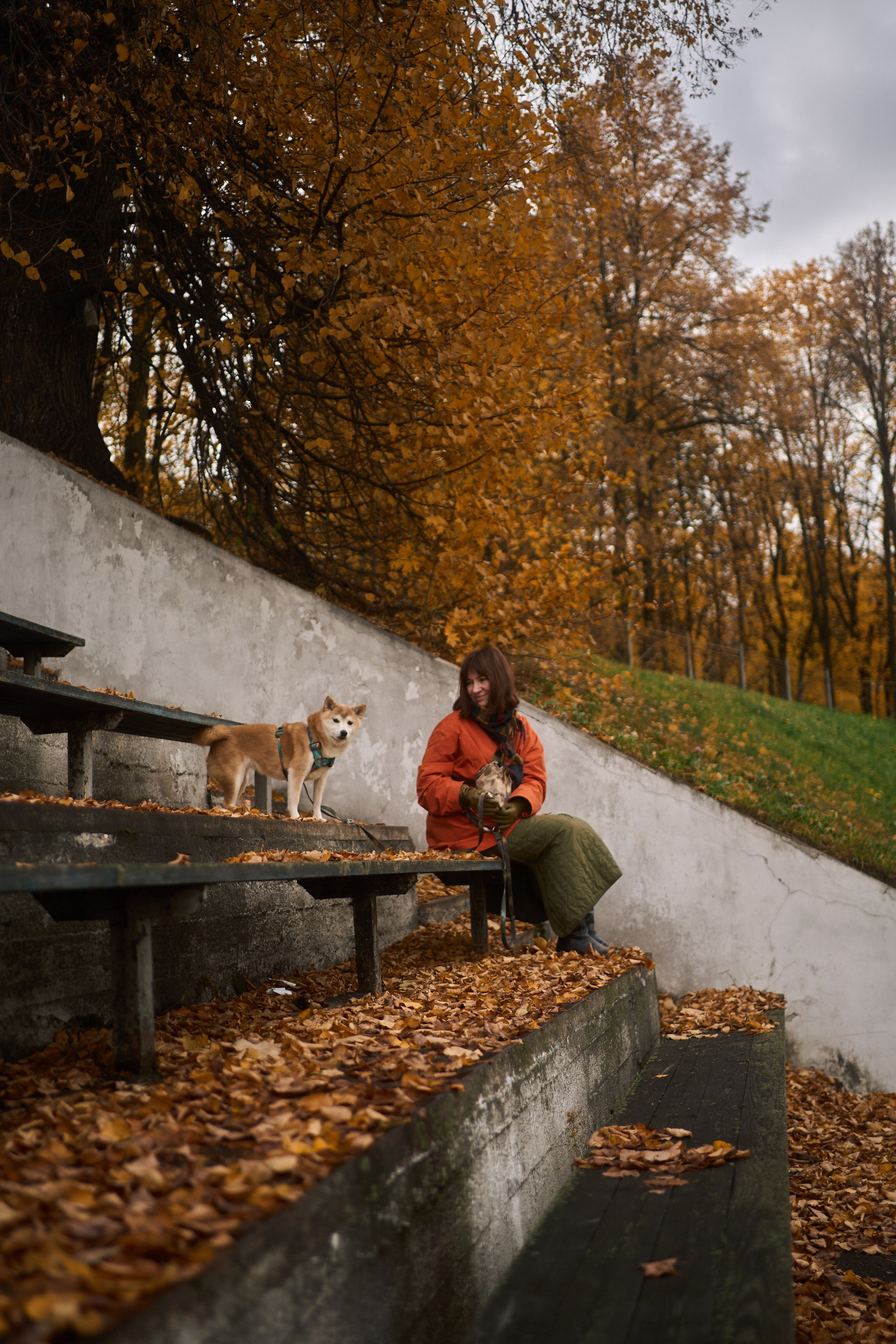 Осенние Уши. Фотограф анималист Москва Дарья