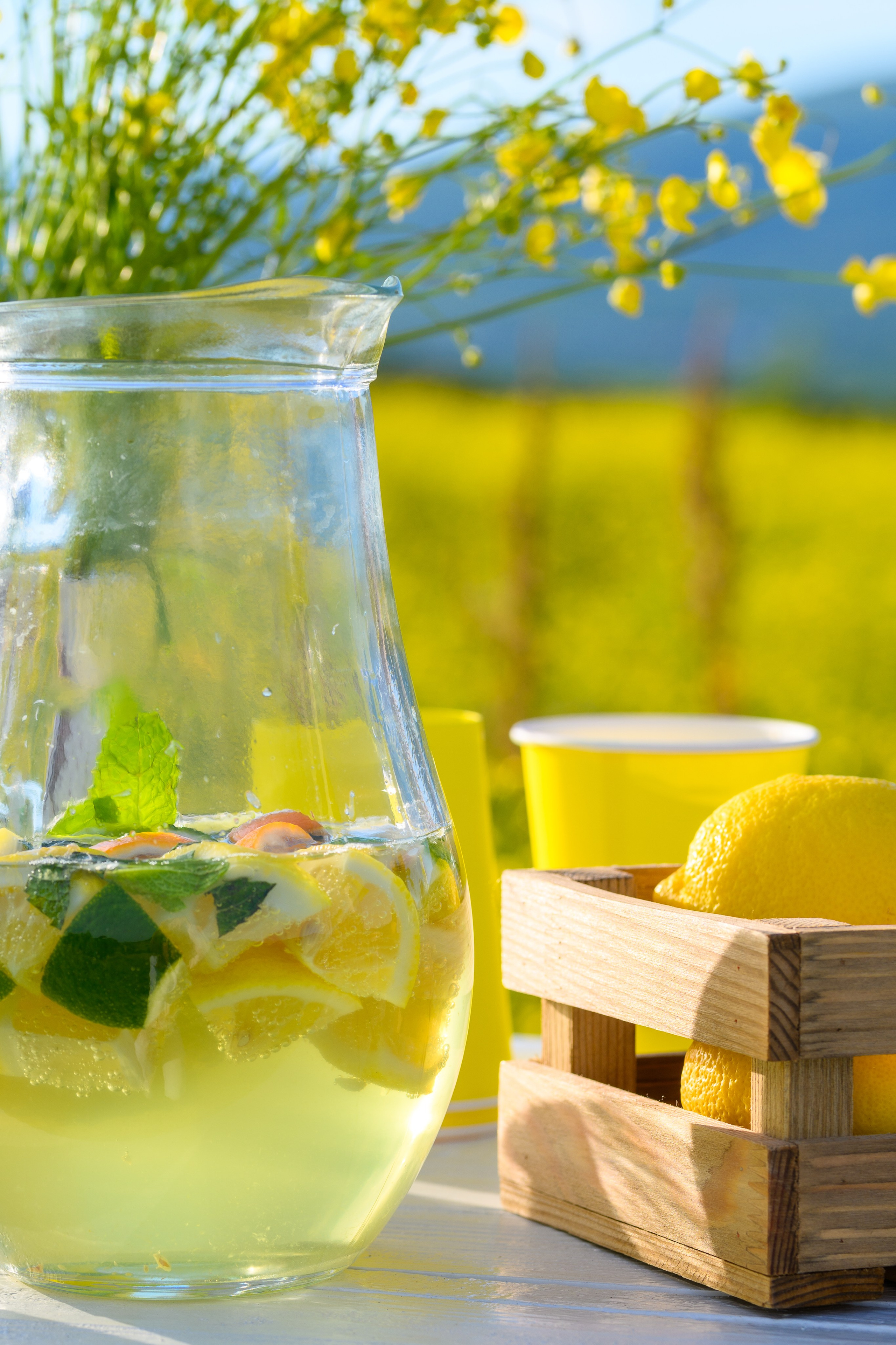 Фотопроект «Лимонад». Семейный, детский, lifestyle фотограф в Магадане Илона Проскурня