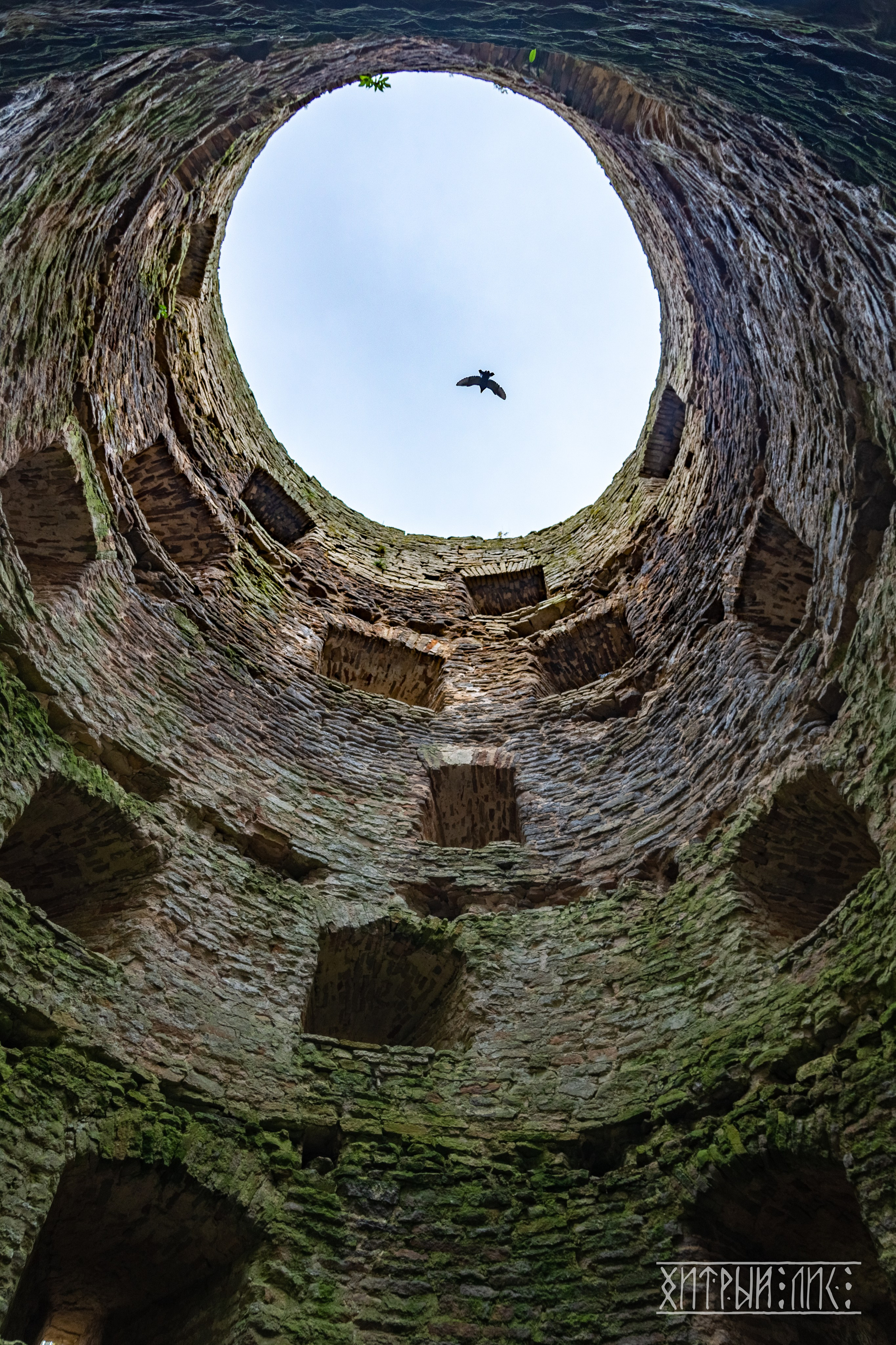 Изборск- Печоры-Псков-Новгород-Торжок. Фотограф-путешественник Самойлов Максим «Sly Fox»