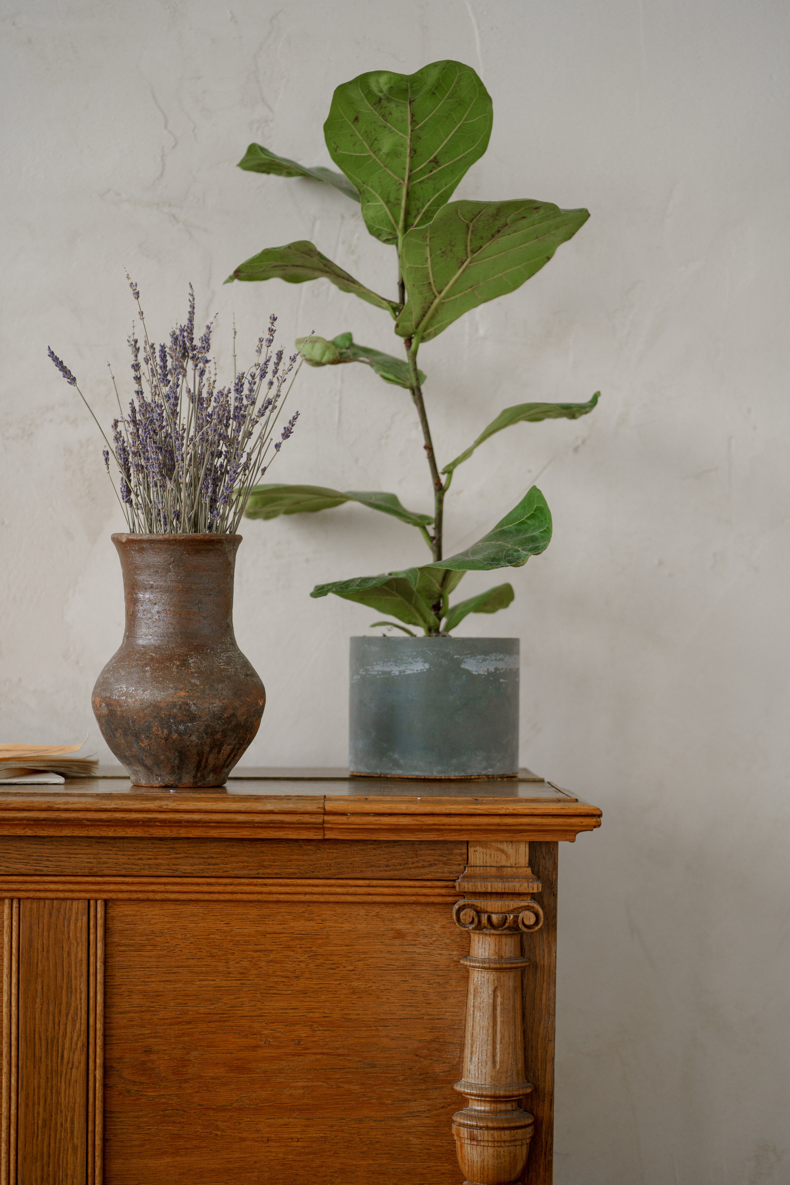 Психолог Ольга. Портретный фотограф в Нижнем Новгороде, Санкт-Петербурге Лена Зверева