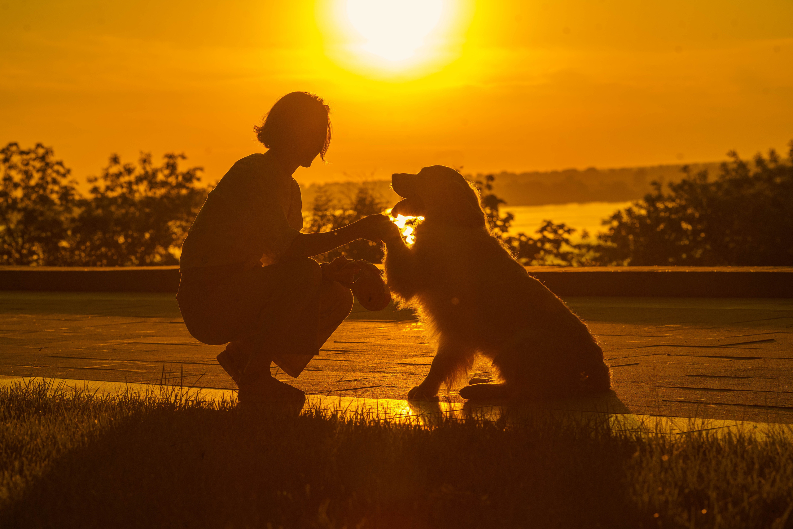 Портретный фотограф в Нижнем Новгороде, Санкт-Петербурге Лена Зверева