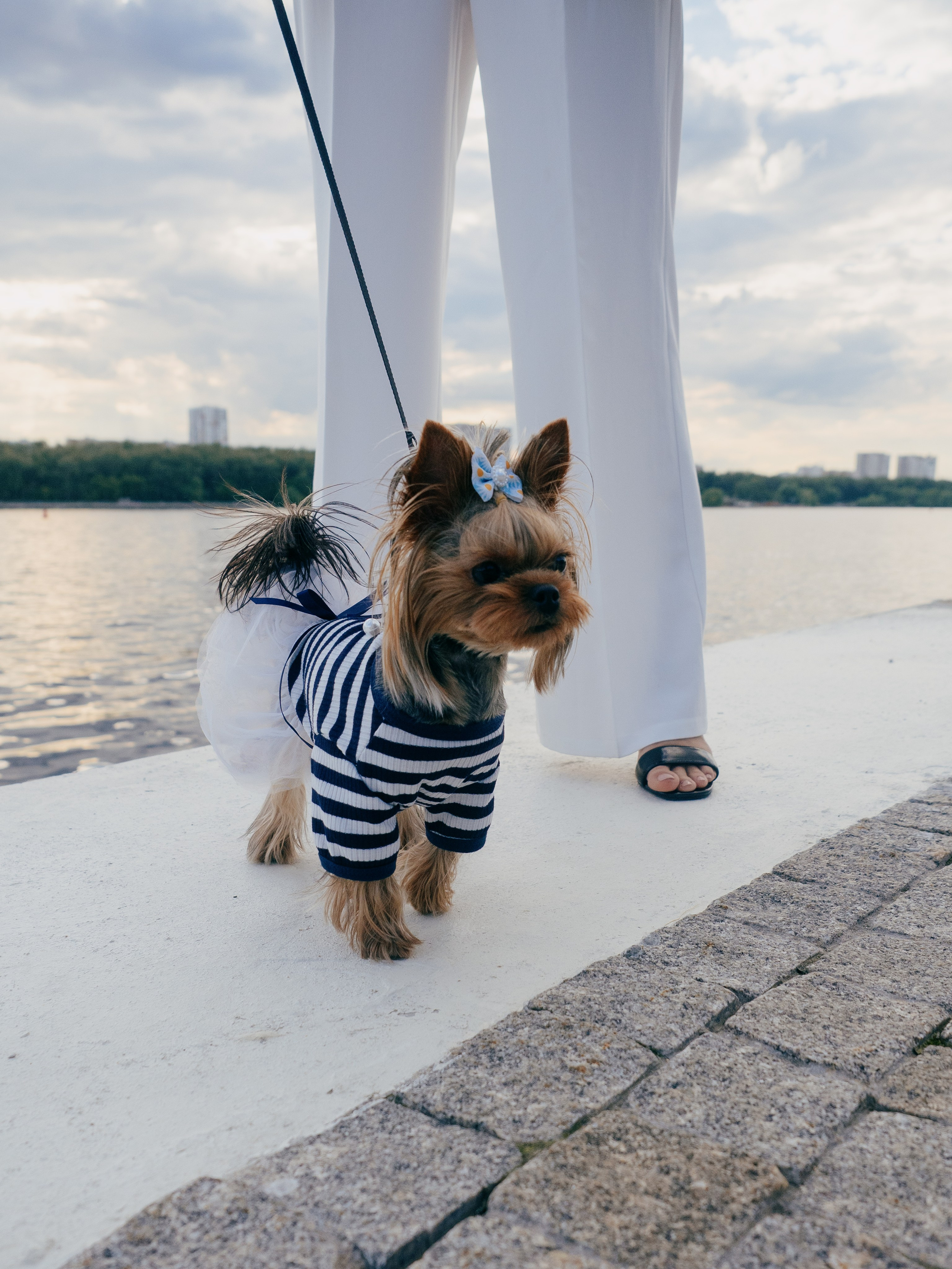 Фотопрогулка с питомцем. Маруся Машкова • Фотограф в Москве