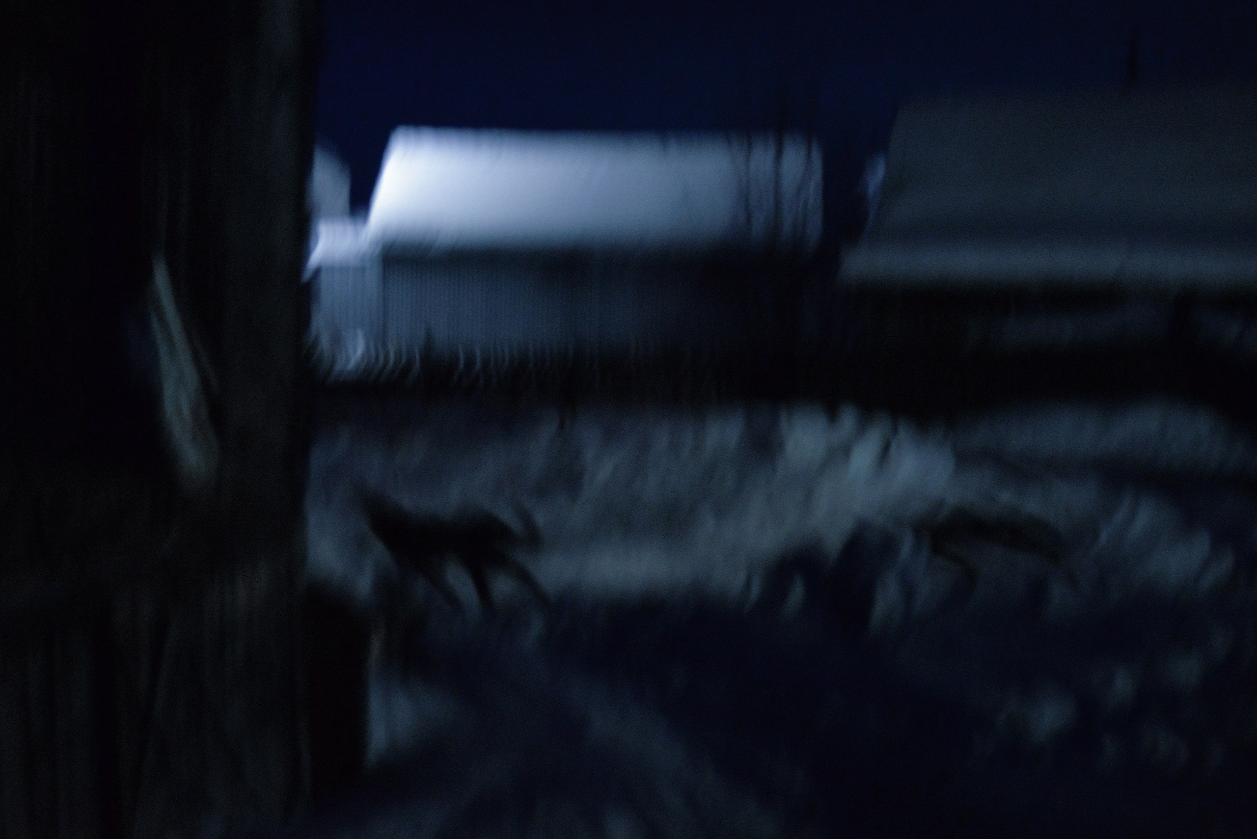 Фотожурналистика. Дарья Пянзина | фотограф |междисциплинарная художница