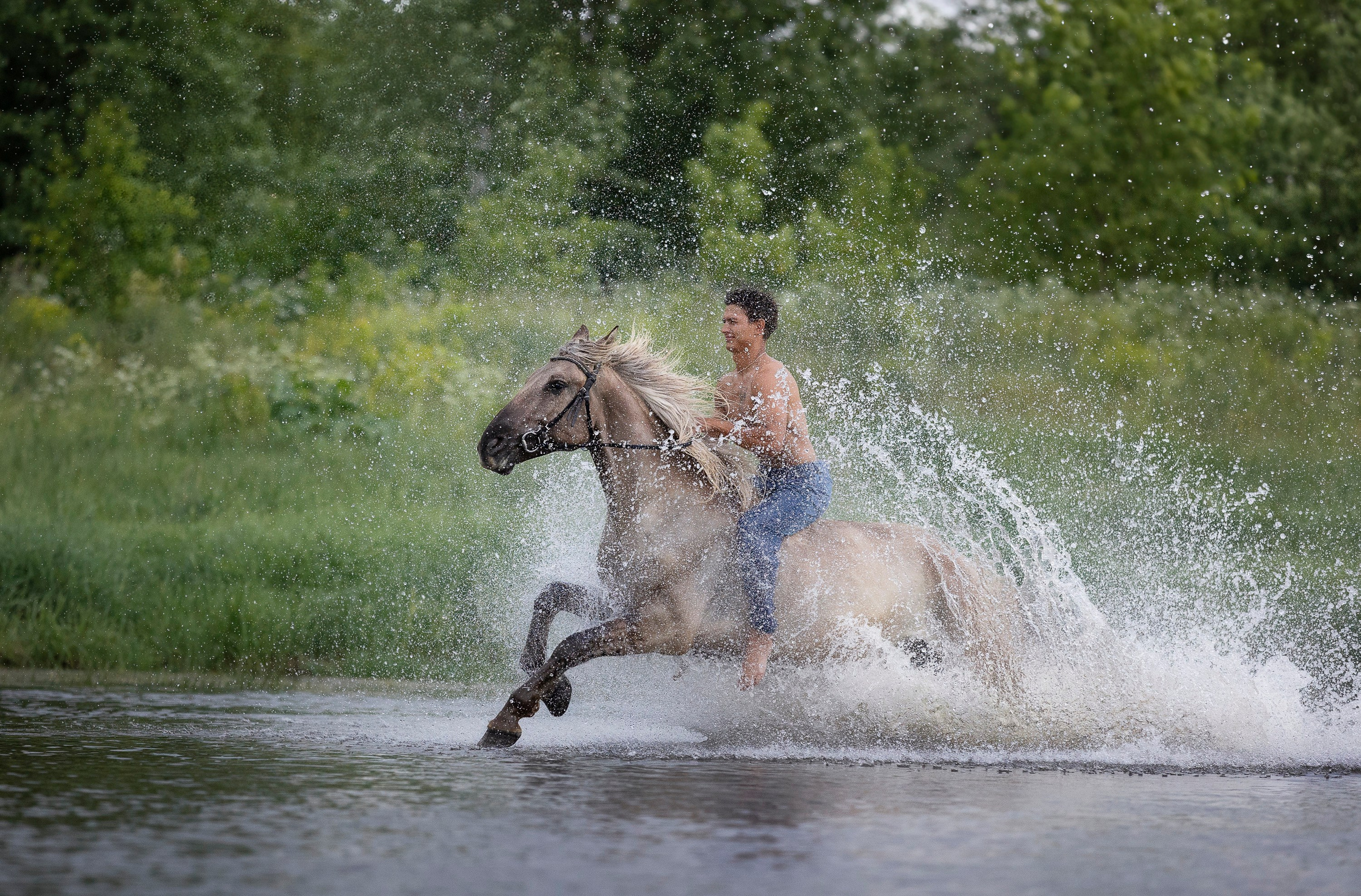 Аванпост. Фотограф анималист, семейный фотограф, фотограф собак Комратова Мария. г. Москва