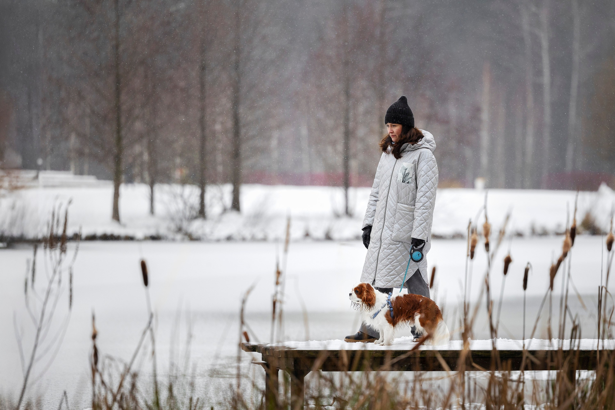 Кавалер Кинг Чарльз Спаниель и Людмила. Фотограф анималист, семейный фотограф, фотограф собак Комратова Мария. г. Москва