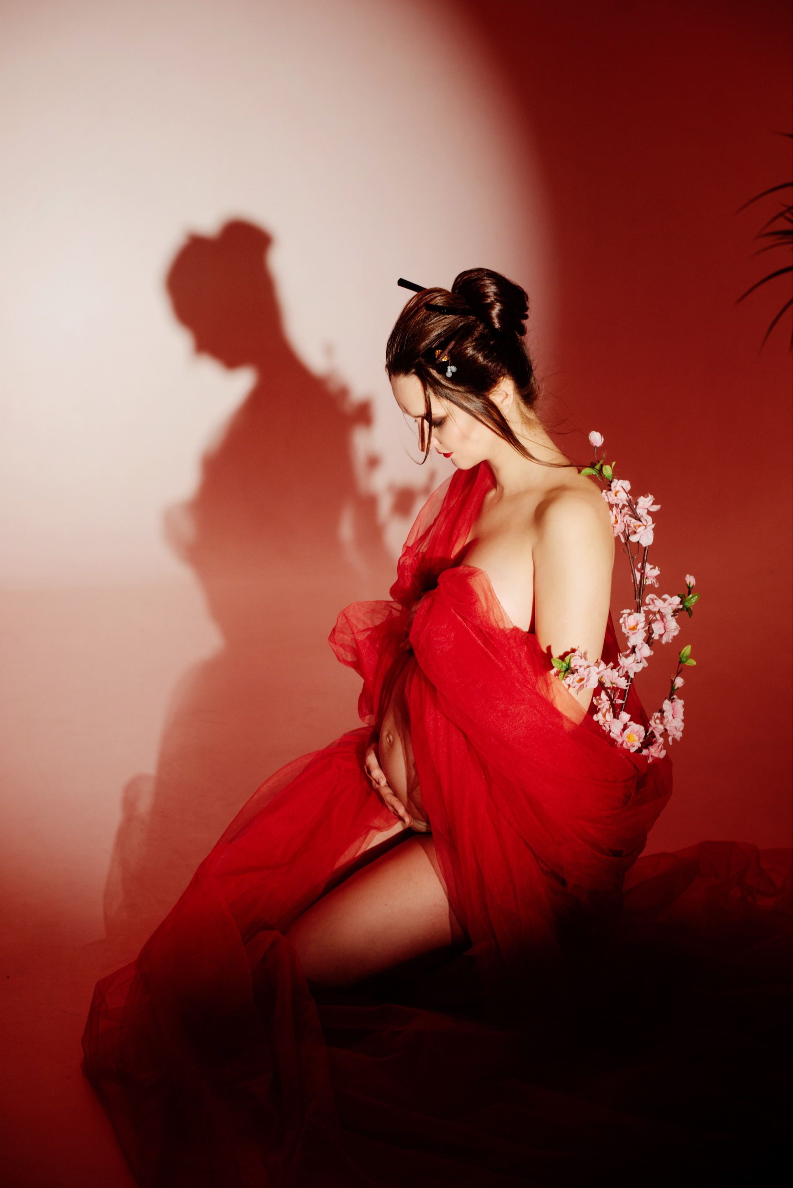 Фото МЕМУАРЫ ГЕЙШИ от Натальи. ФОТОПРОЕКТЫ