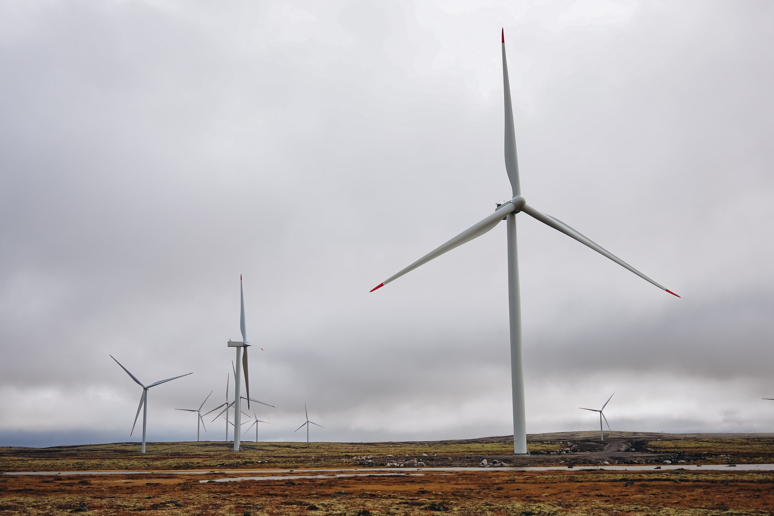 СЕВЕР. Event фотограф Степанова Александра