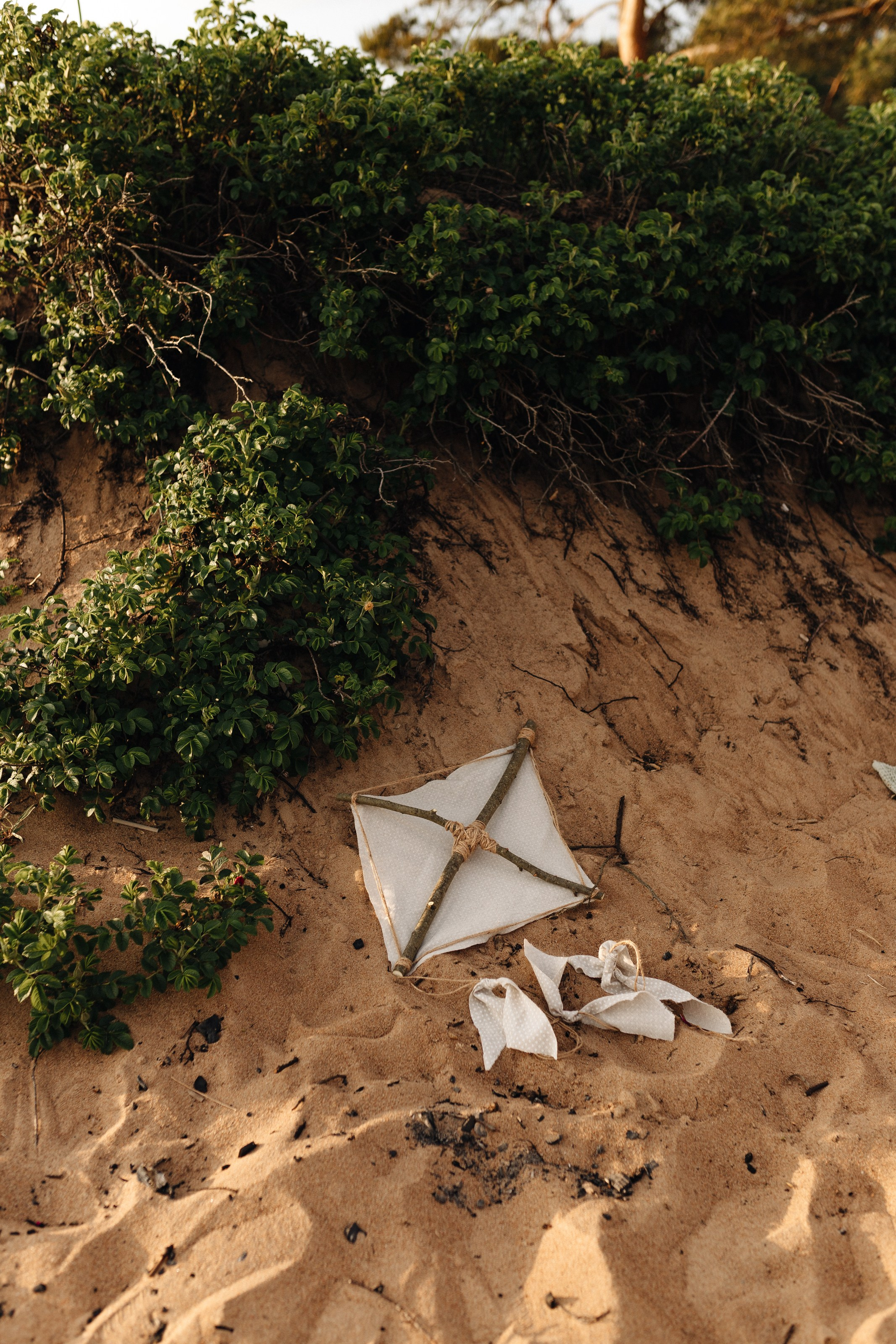 Надежда и ее смысл жизни. Главная