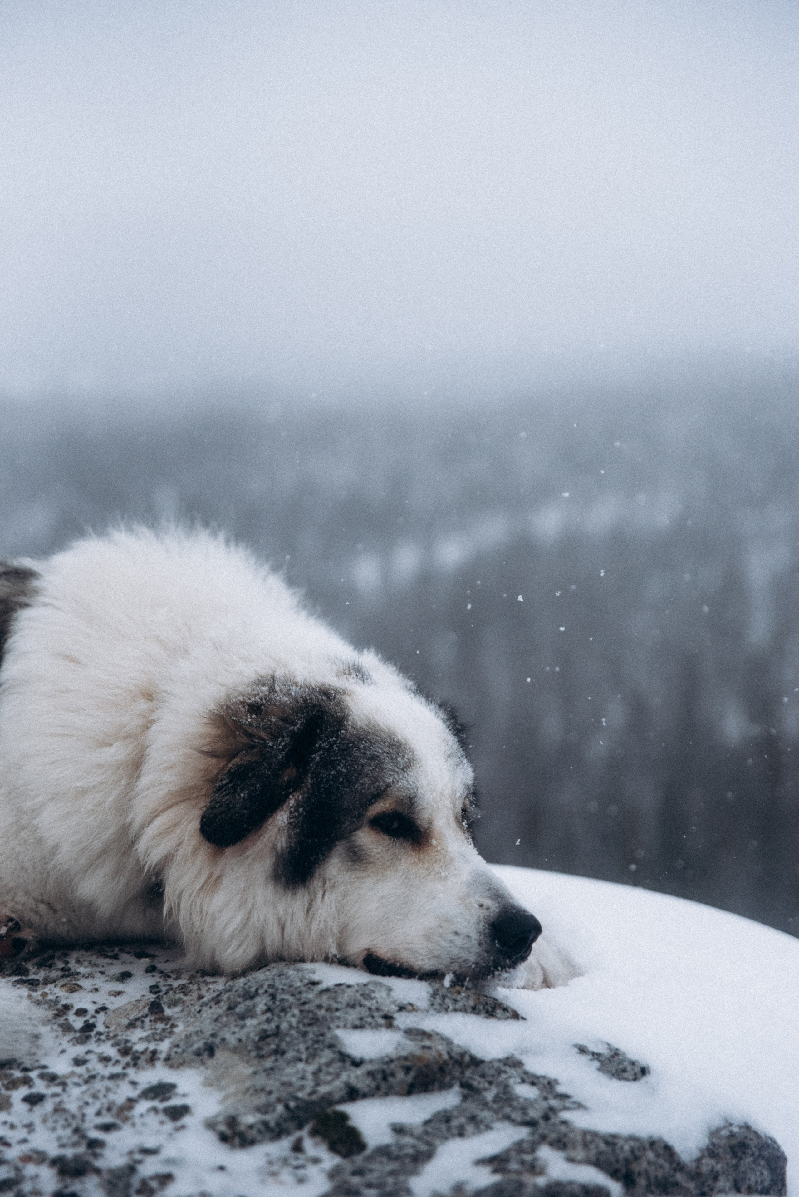 Териберка, Мурманск, Россия 🇷🇺. Anita_photo