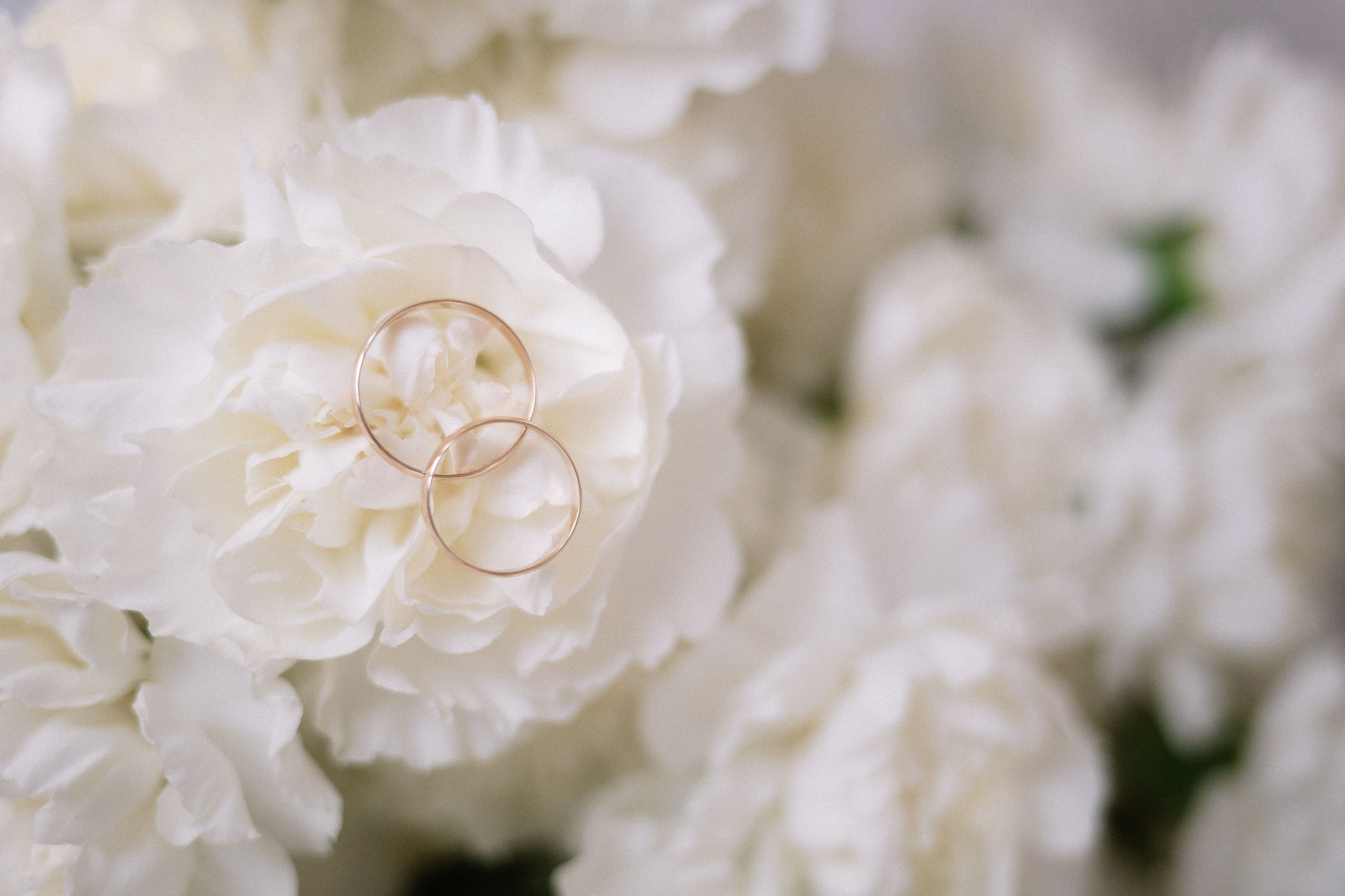 L&I. Семейный фотограф в Севастополе и Симферополе Александра Чистякова