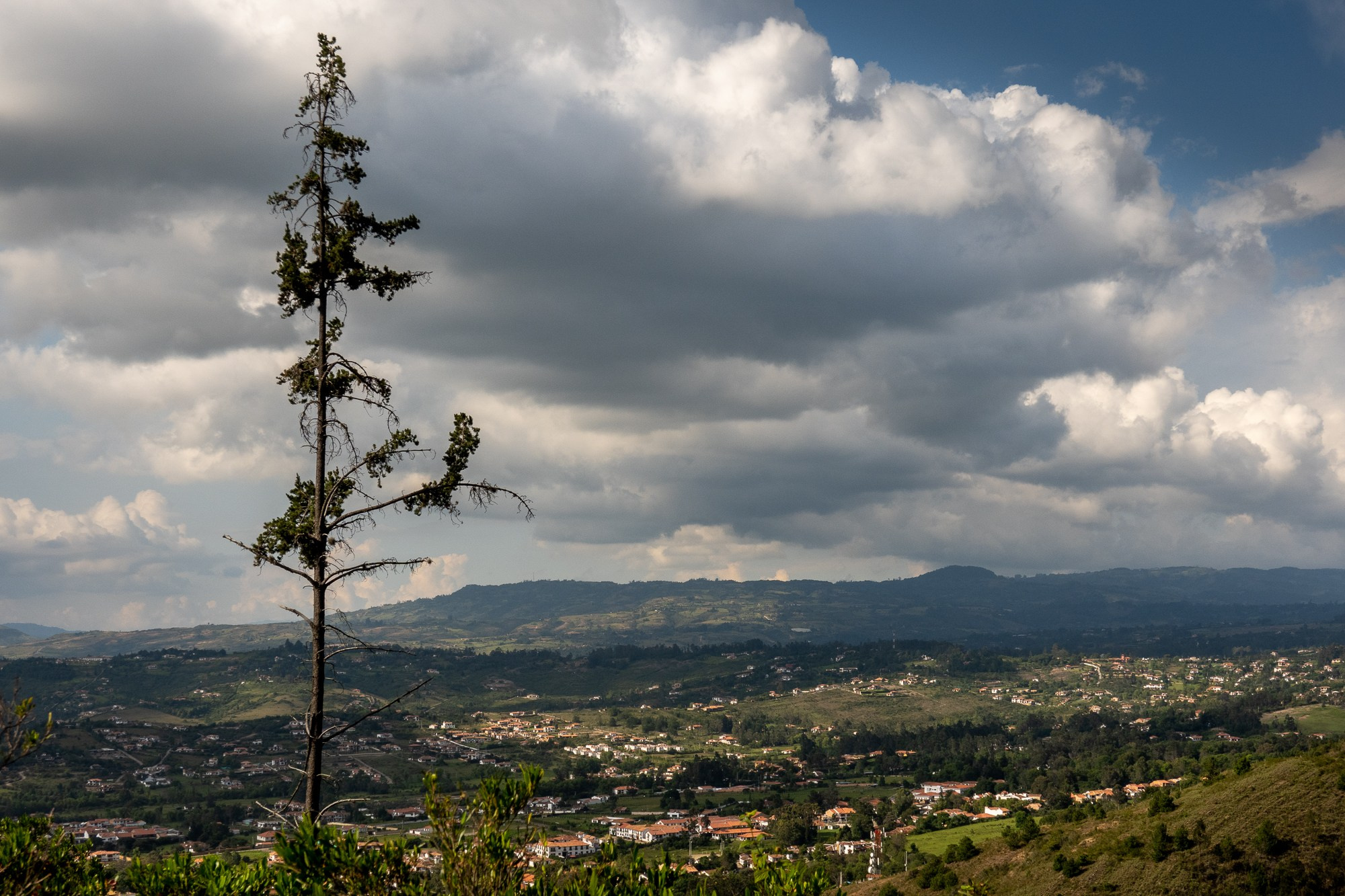 Алексей Скоробогатько, фотограф.  Колумбия Вилья-де-Лейва. Alexey Skorobogatko, photographer, Colombia Villa de Leyva. Фотограф Алексей Скоробогатько