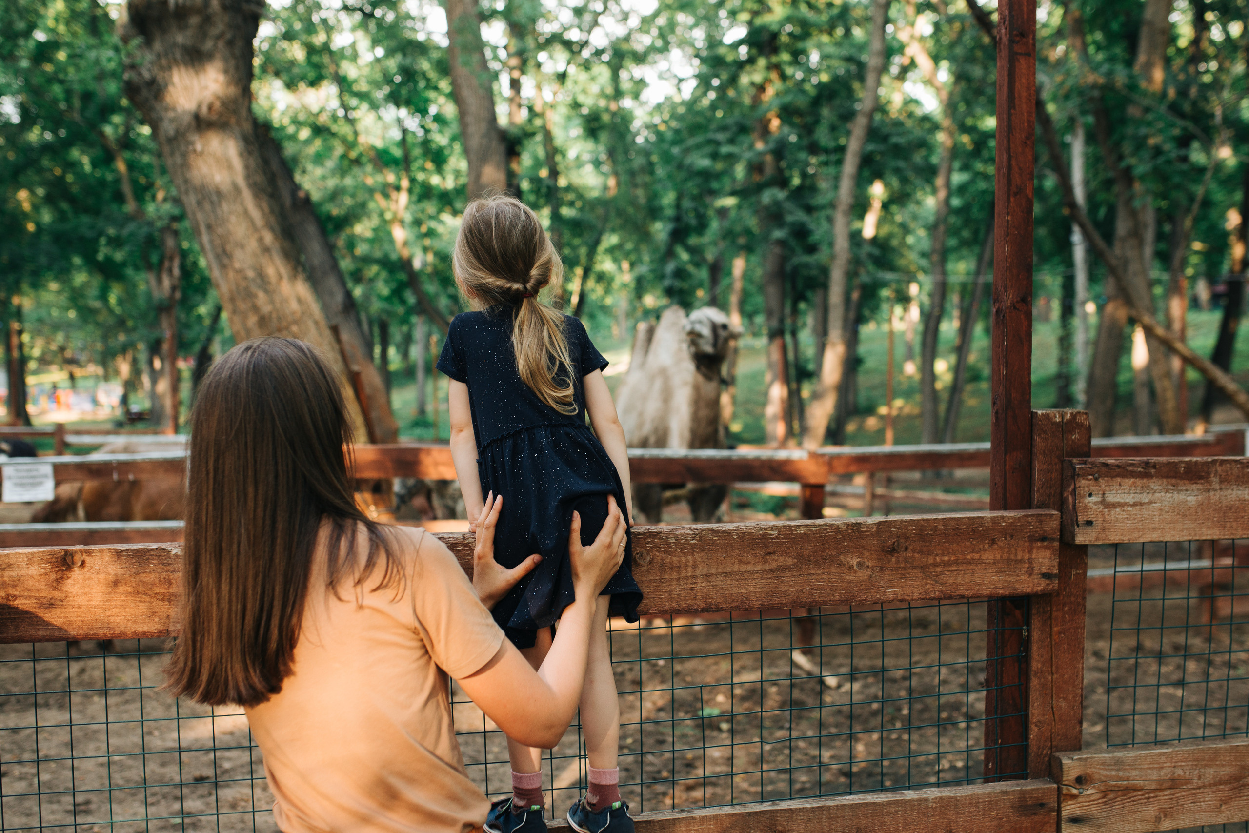 Ivan&Dasha. Антонина Талах фотограф в Москве