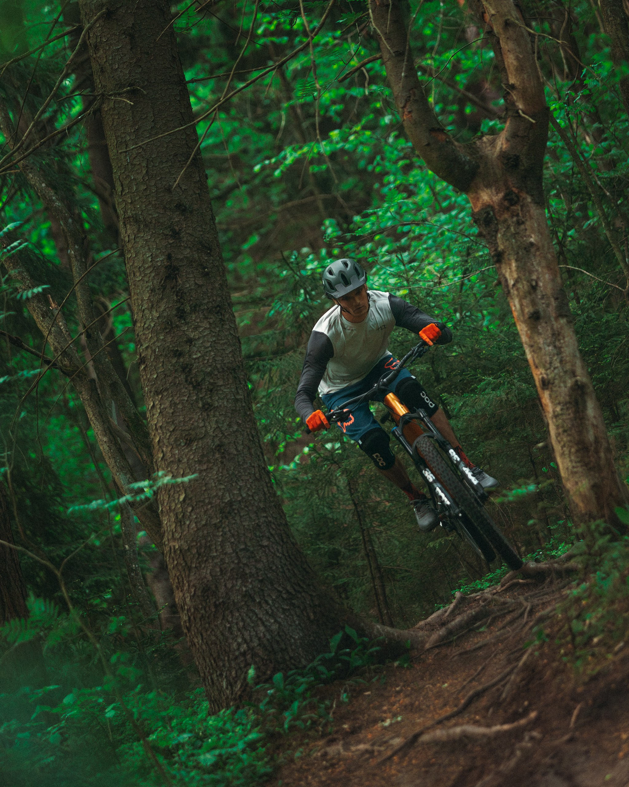 Покатушки в Огороде. Фотограф анималист Никита Натальный