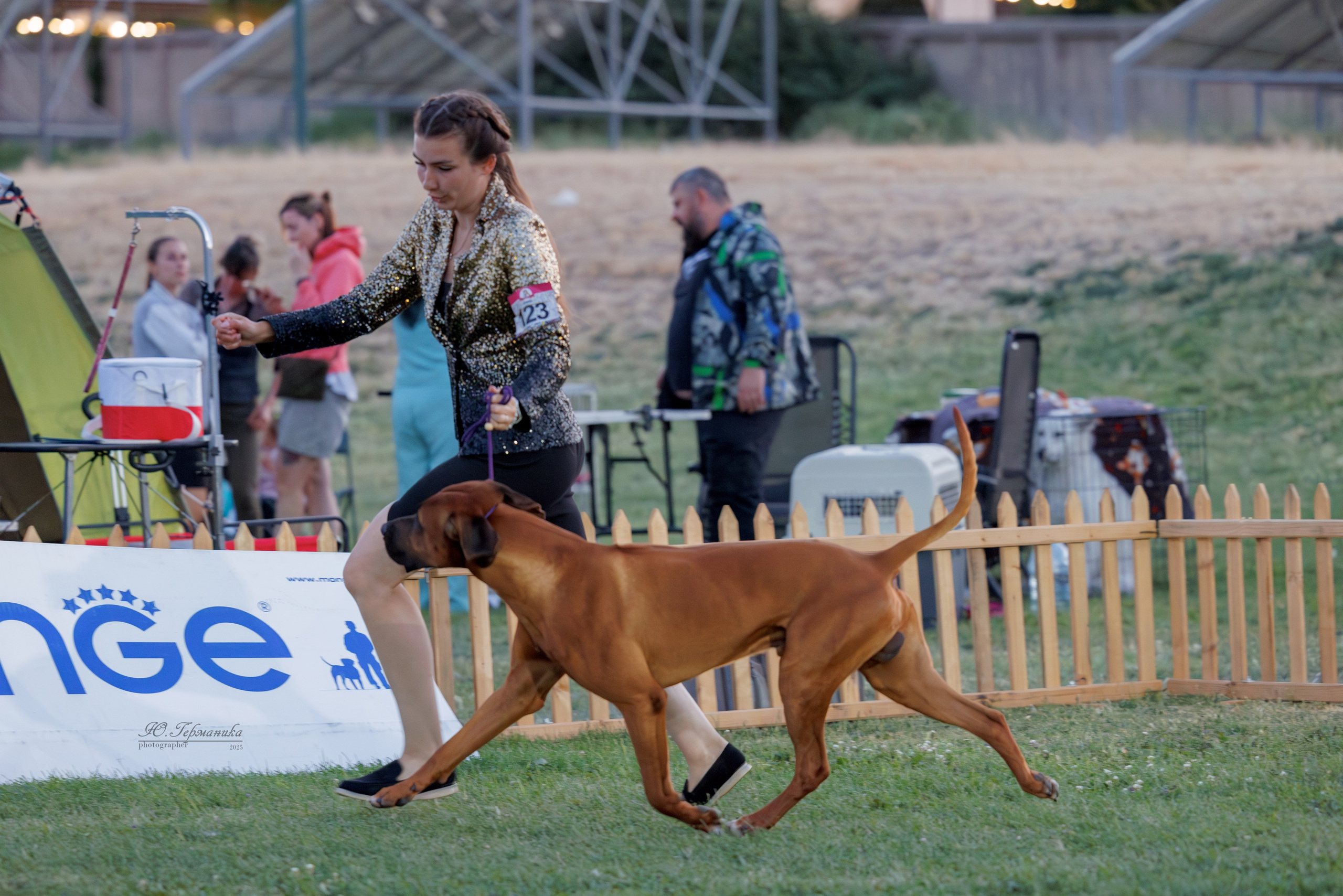 Ереван 3хCACIB 23-25.06.2025. Фотограф-анималист Юлия Германика