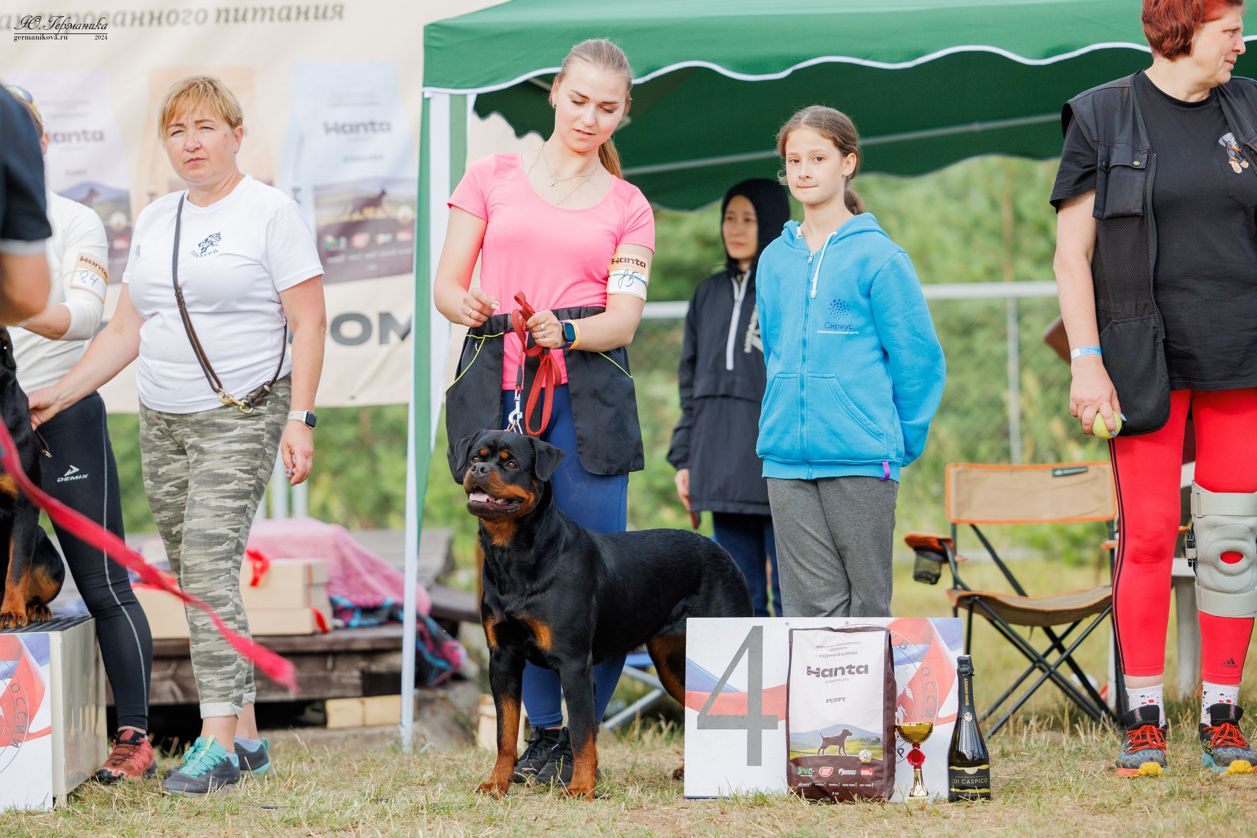 ПК и КЧК ротвейлеры Тверь 6-7.07.2024. Фотограф-анималист Юлия Германика