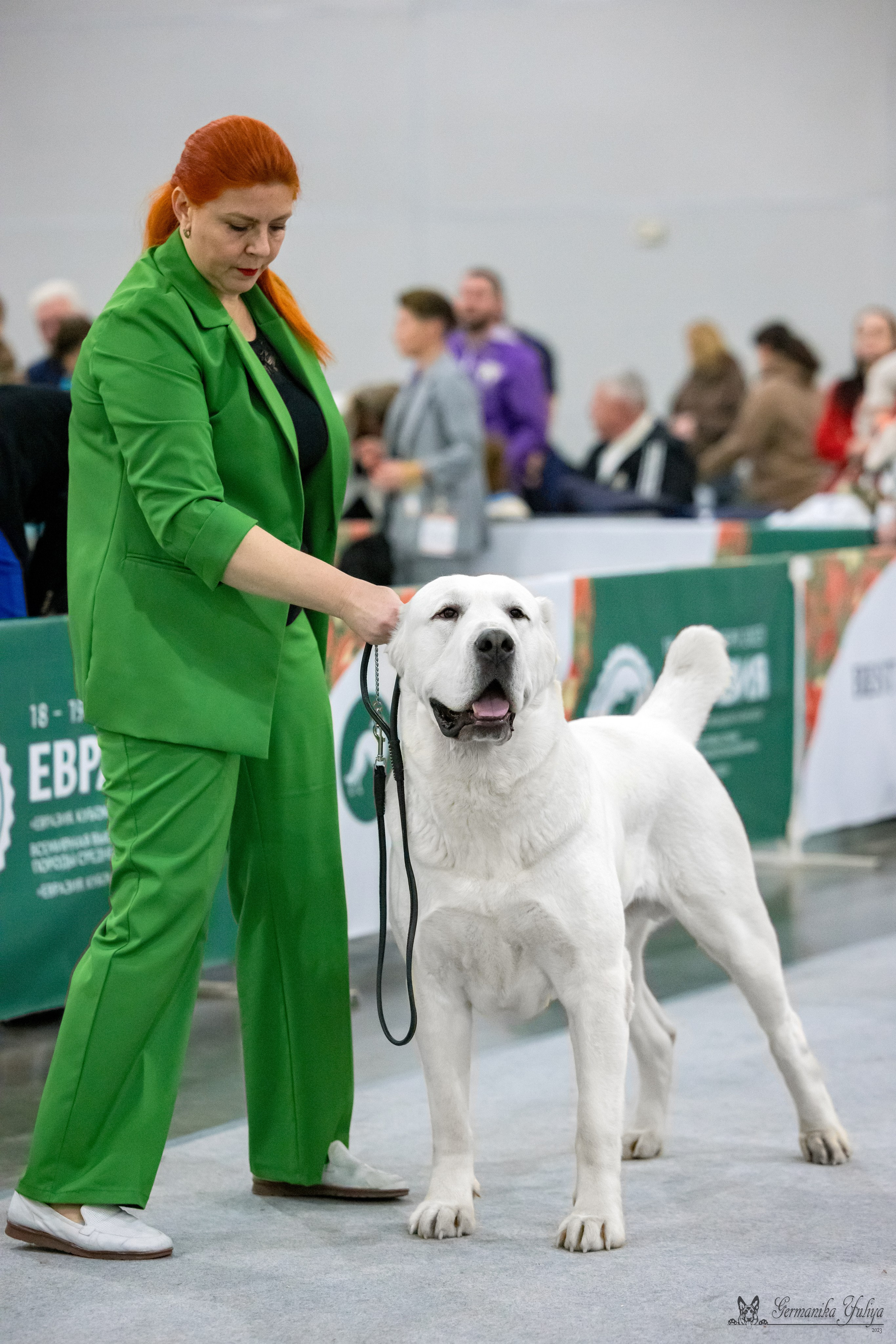 ЕВРАЗИЯ 18-19.11.2023. Фотограф-анималист Юлия Германика
