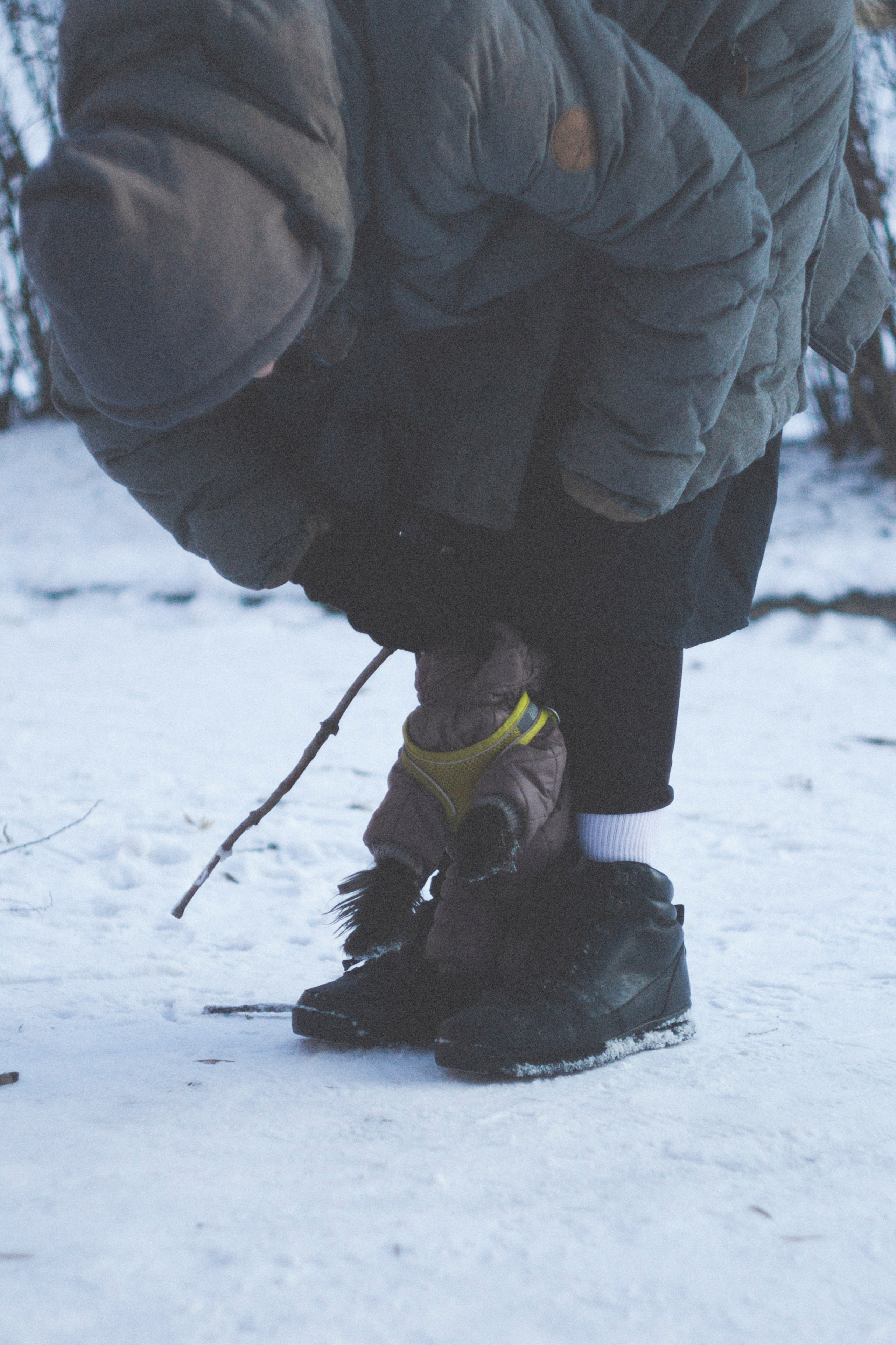 В Алексеевском саду. Фотограф Адигамова Юлия в Петербурге