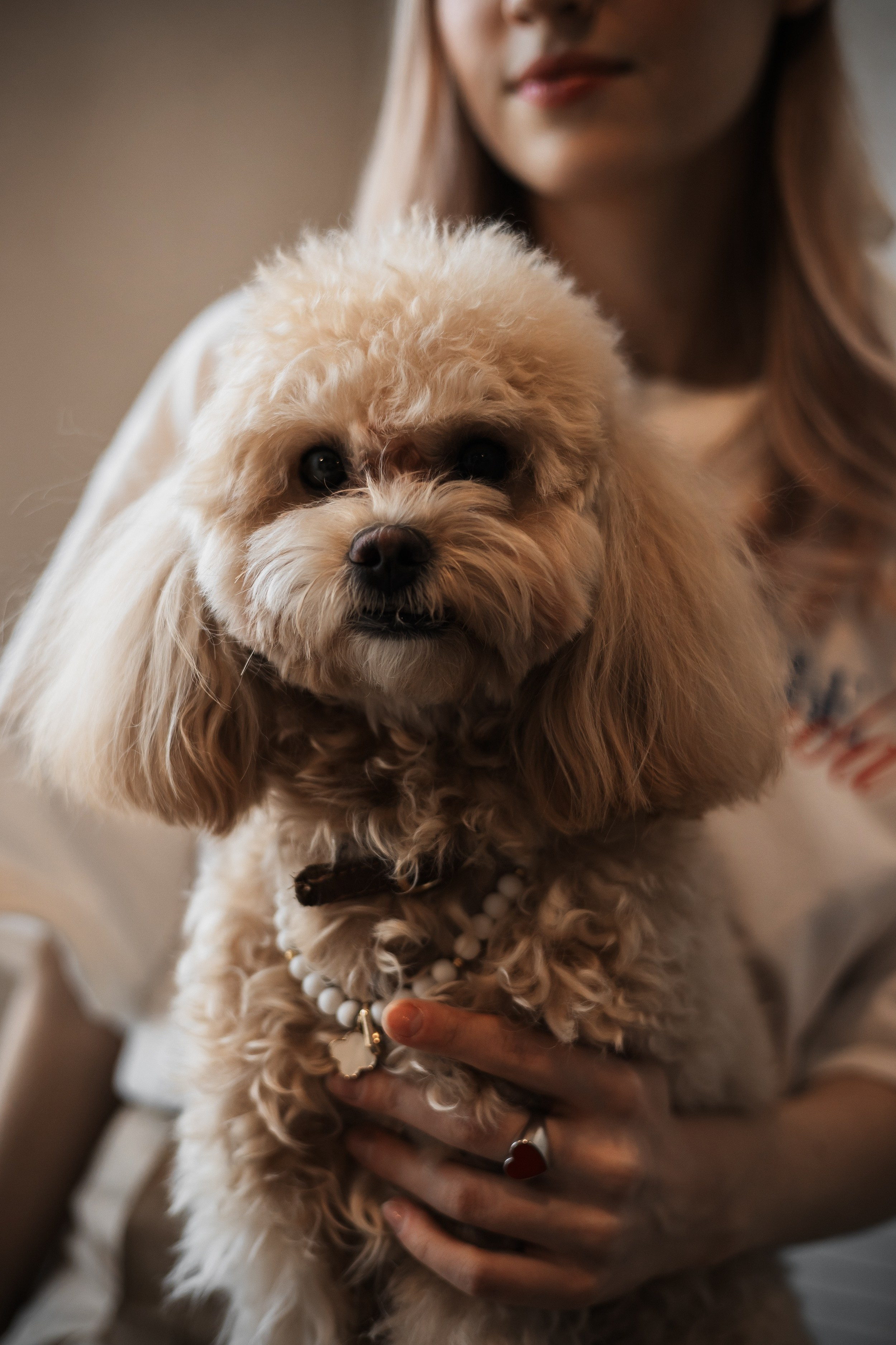 Алина — прогулка