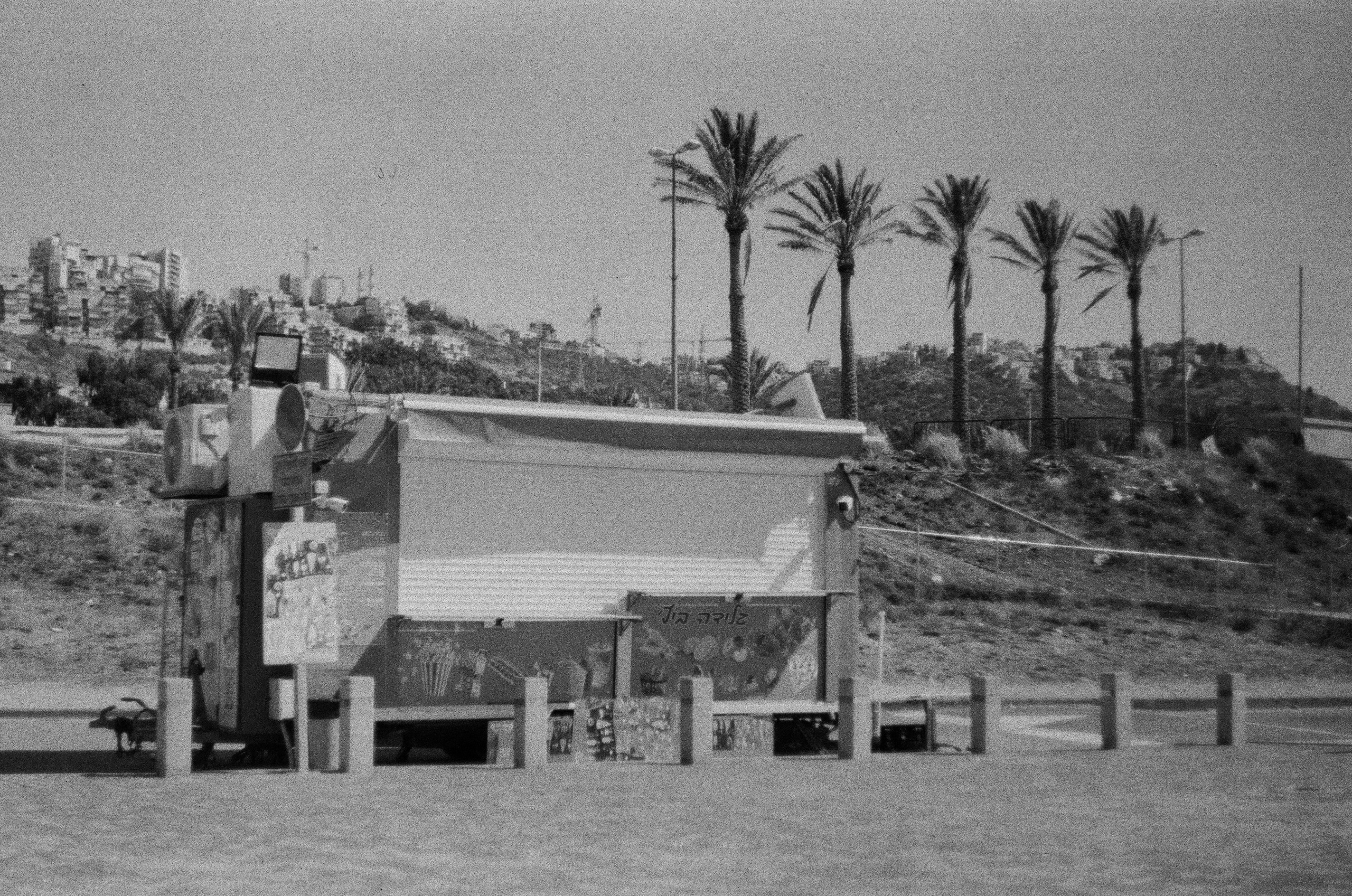 Israel 2025. Свадебный и портретный фотограф в Санкт-Петербурге