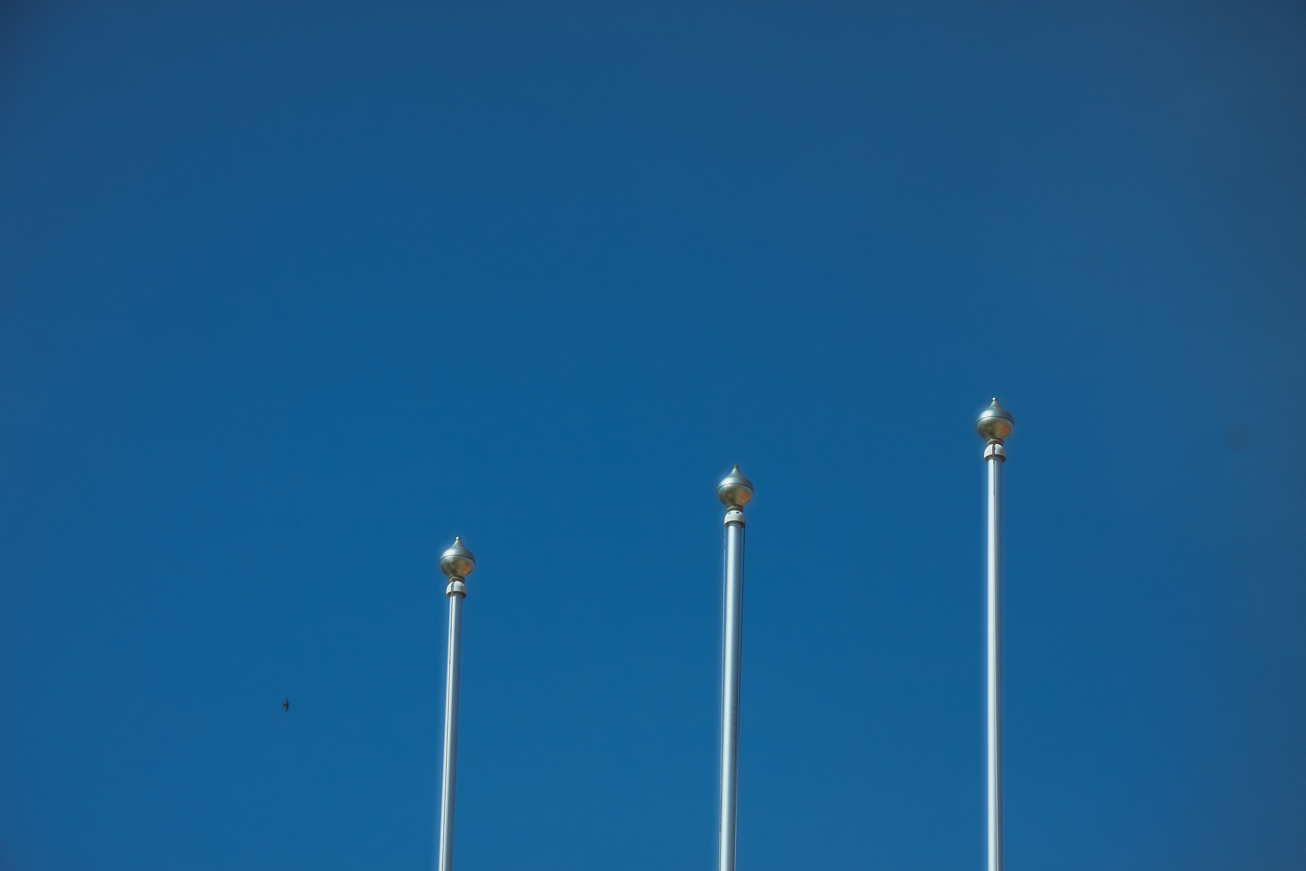 Последний звонок. Фотограф Елизавета Маслова. Москва. Art, Fashion