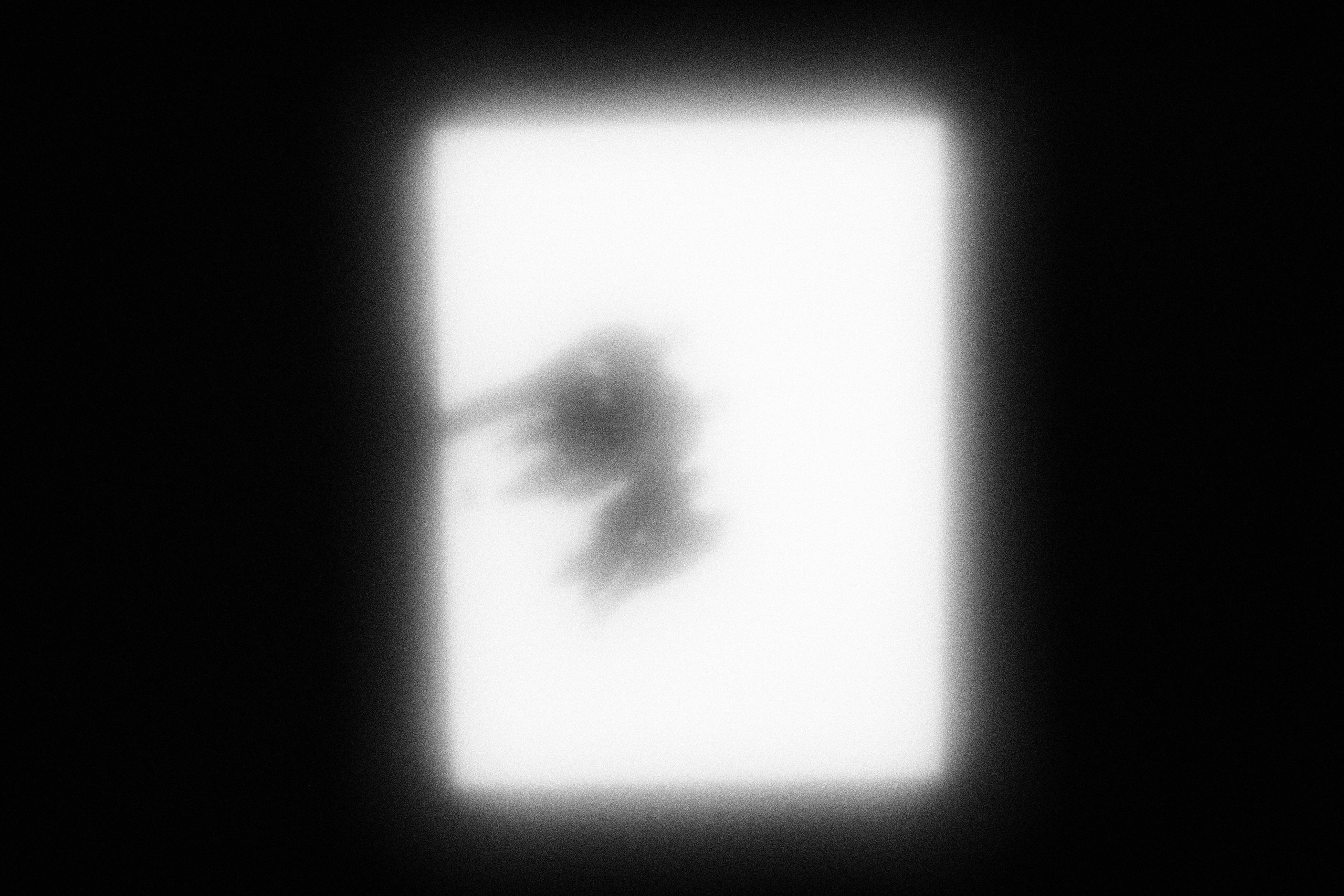 Маленькие искусства и я, Полина Шадрина